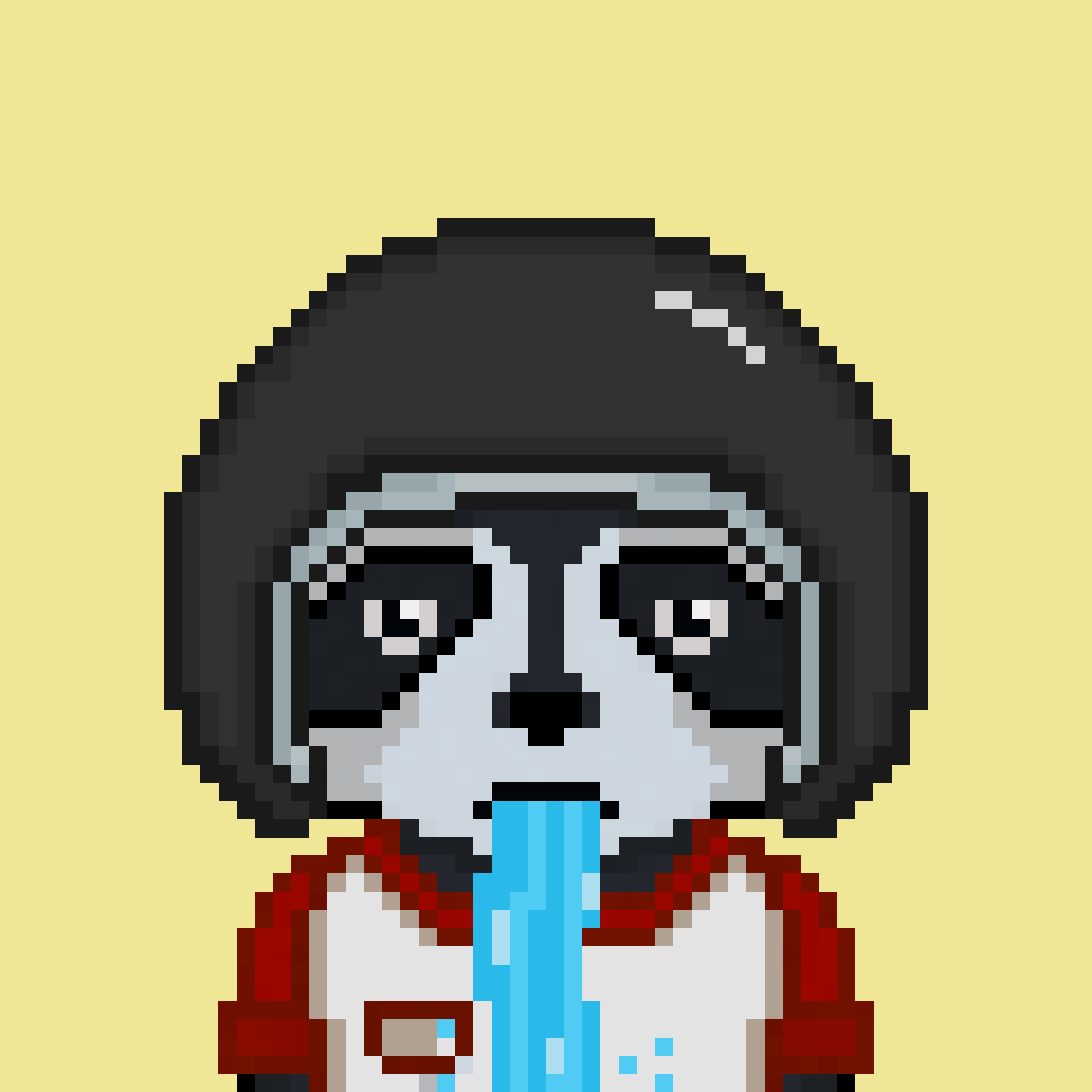 Pixel Raccoon #38 NFT on Algorand