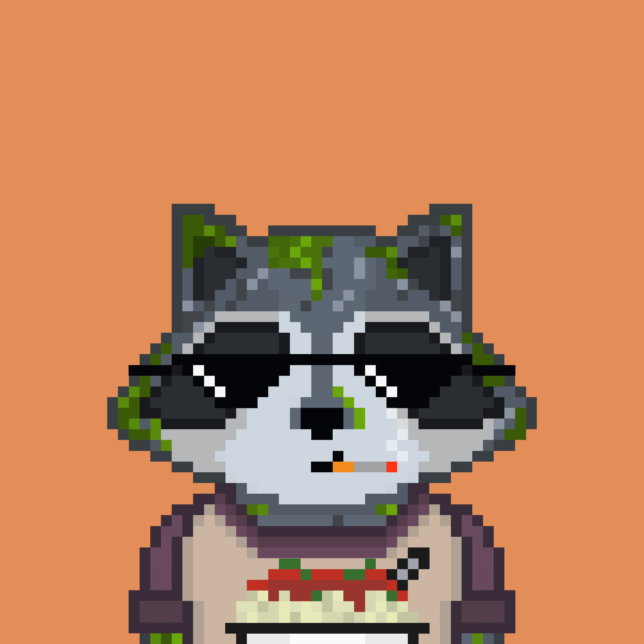 Pixel Raccoon #381 NFT on Algorand