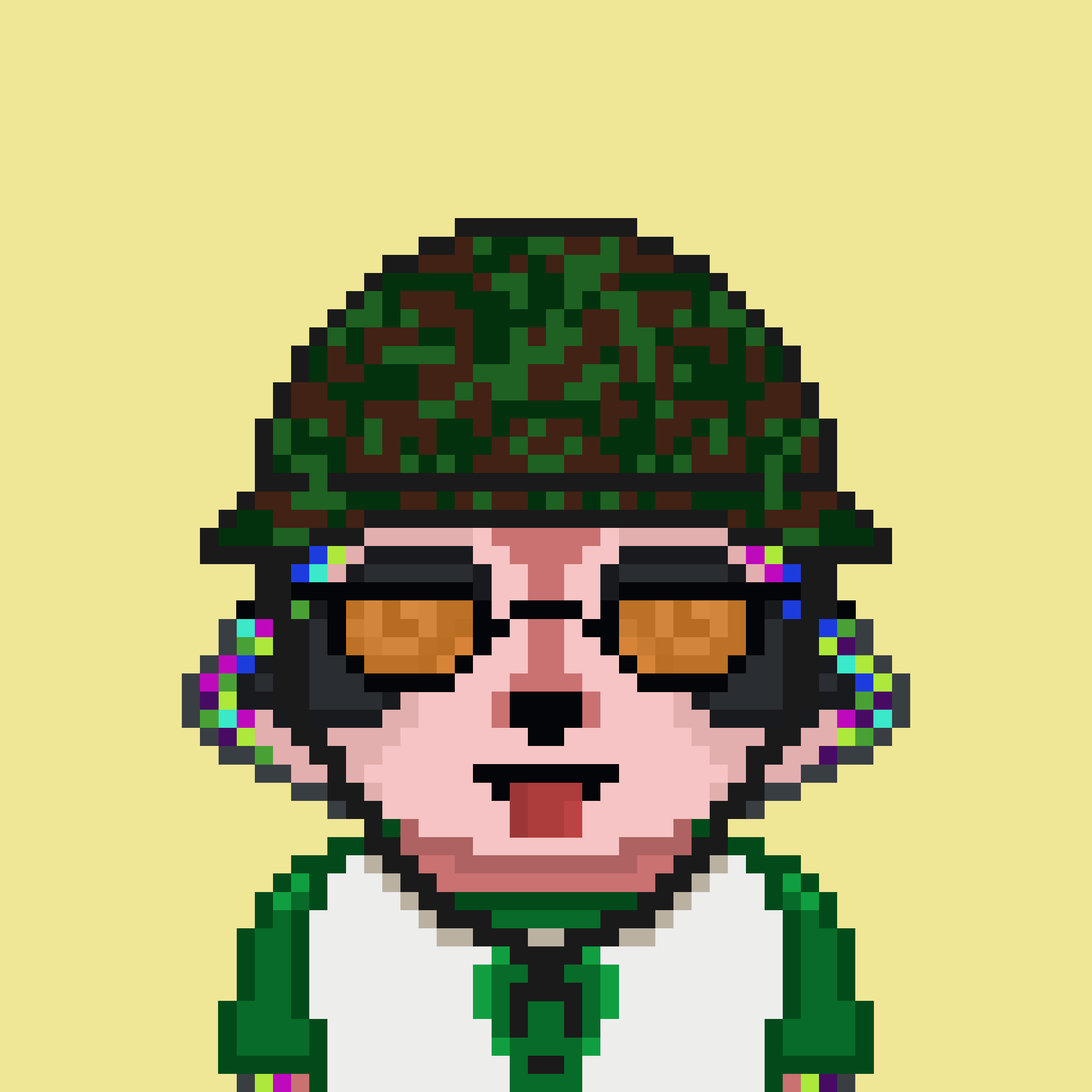 Pixel Raccoon #383 NFT on Algorand