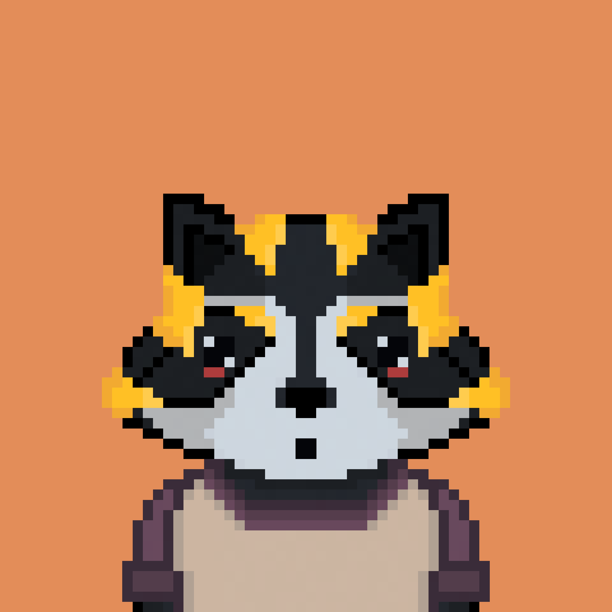 Pixel Raccoon #402 NFT on Algorand