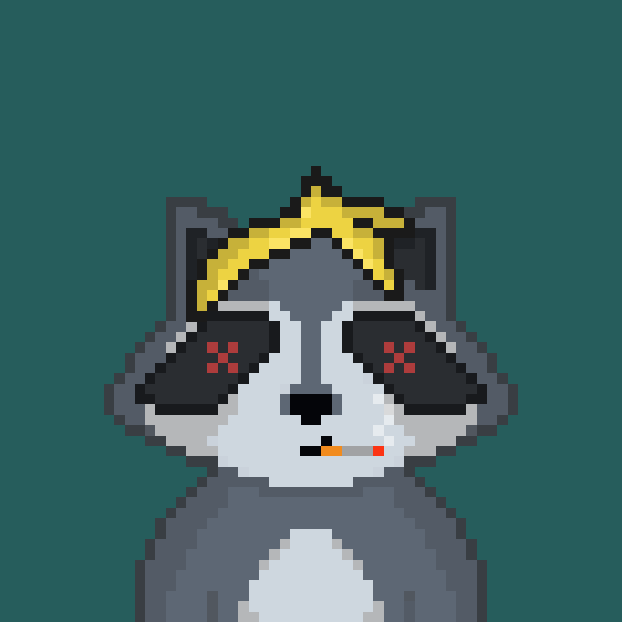 Pixel Raccoon #41 NFT on Algorand