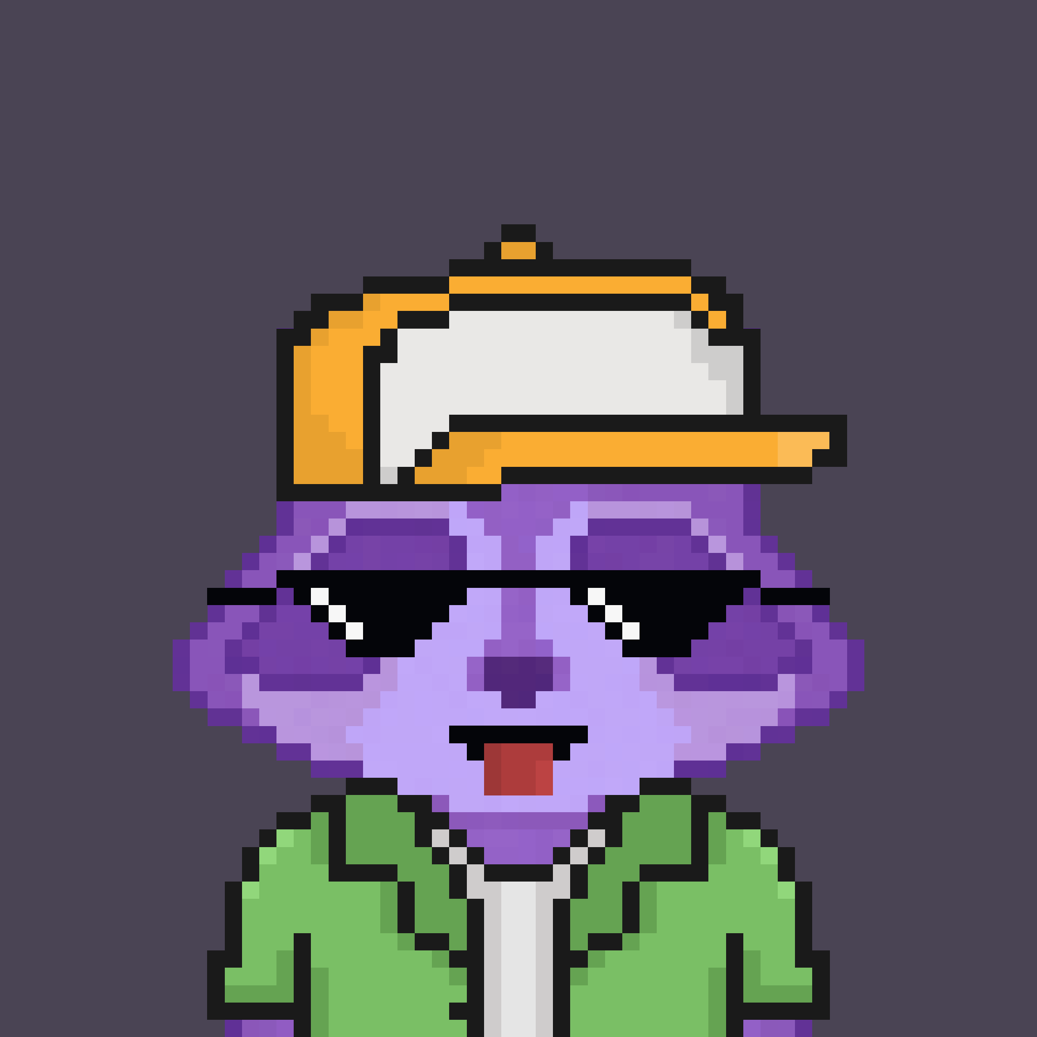 Pixel Raccoon #410 NFT on Algorand