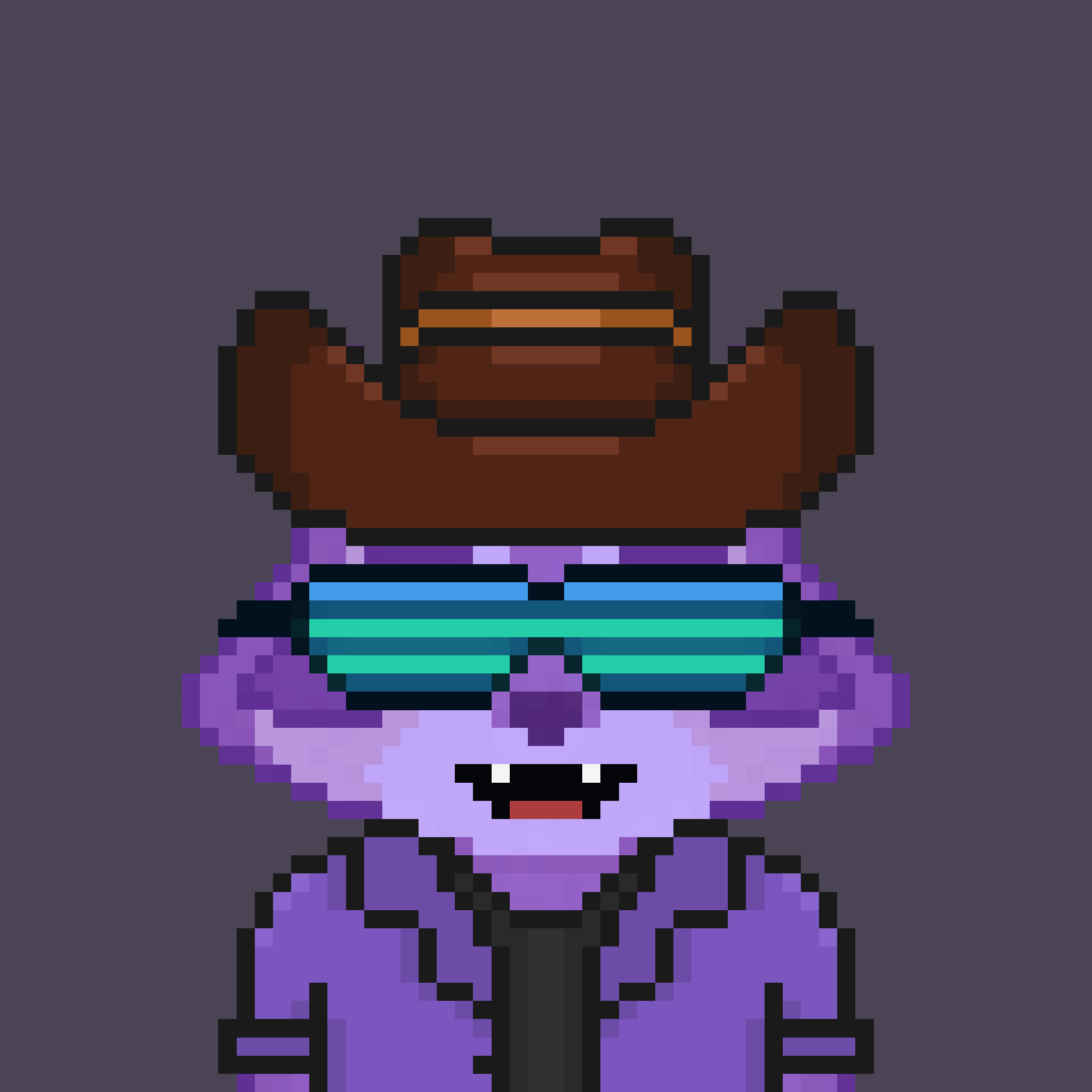 Pixel Raccoon #411 NFT on Algorand