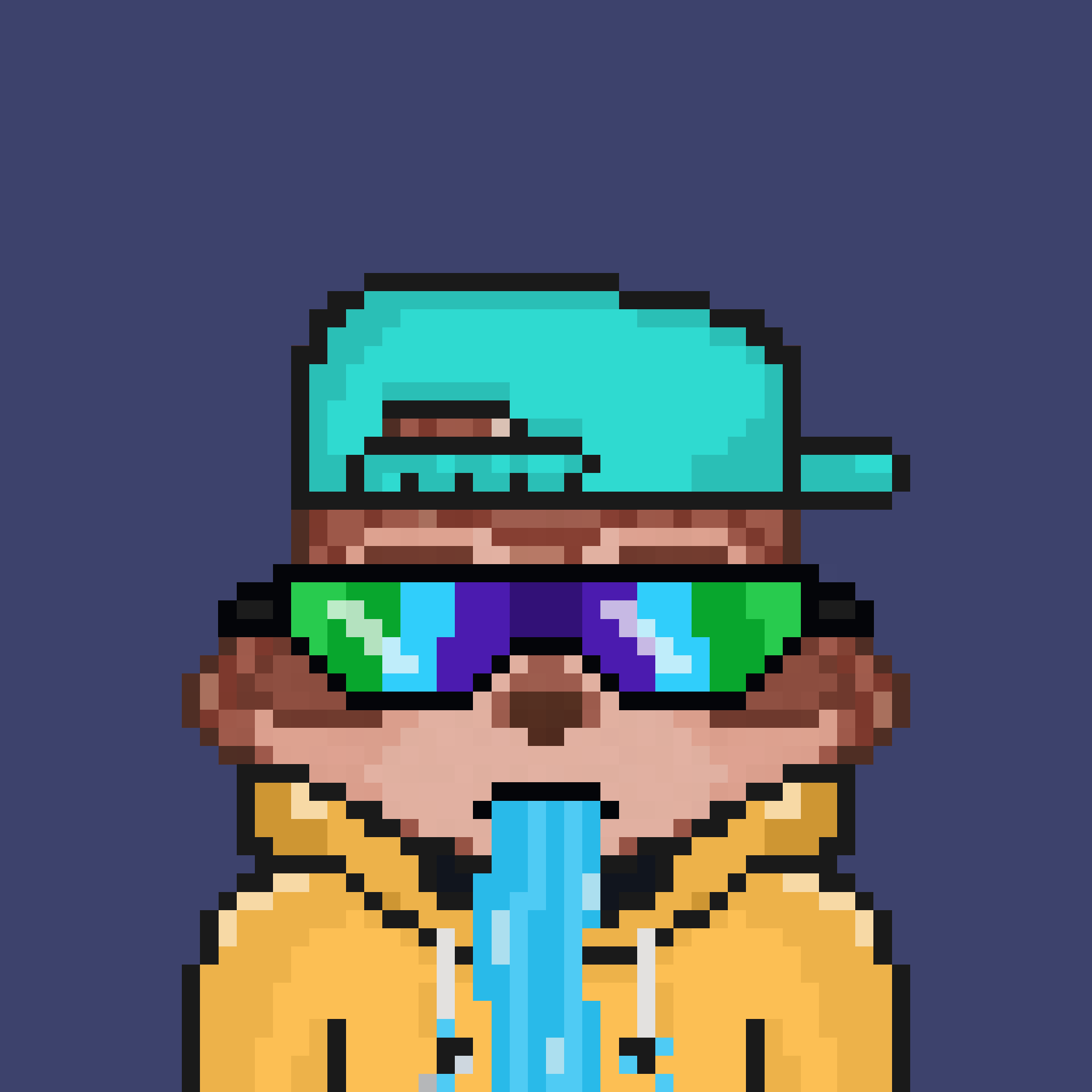 Pixel Raccoon #419 NFT on Algorand