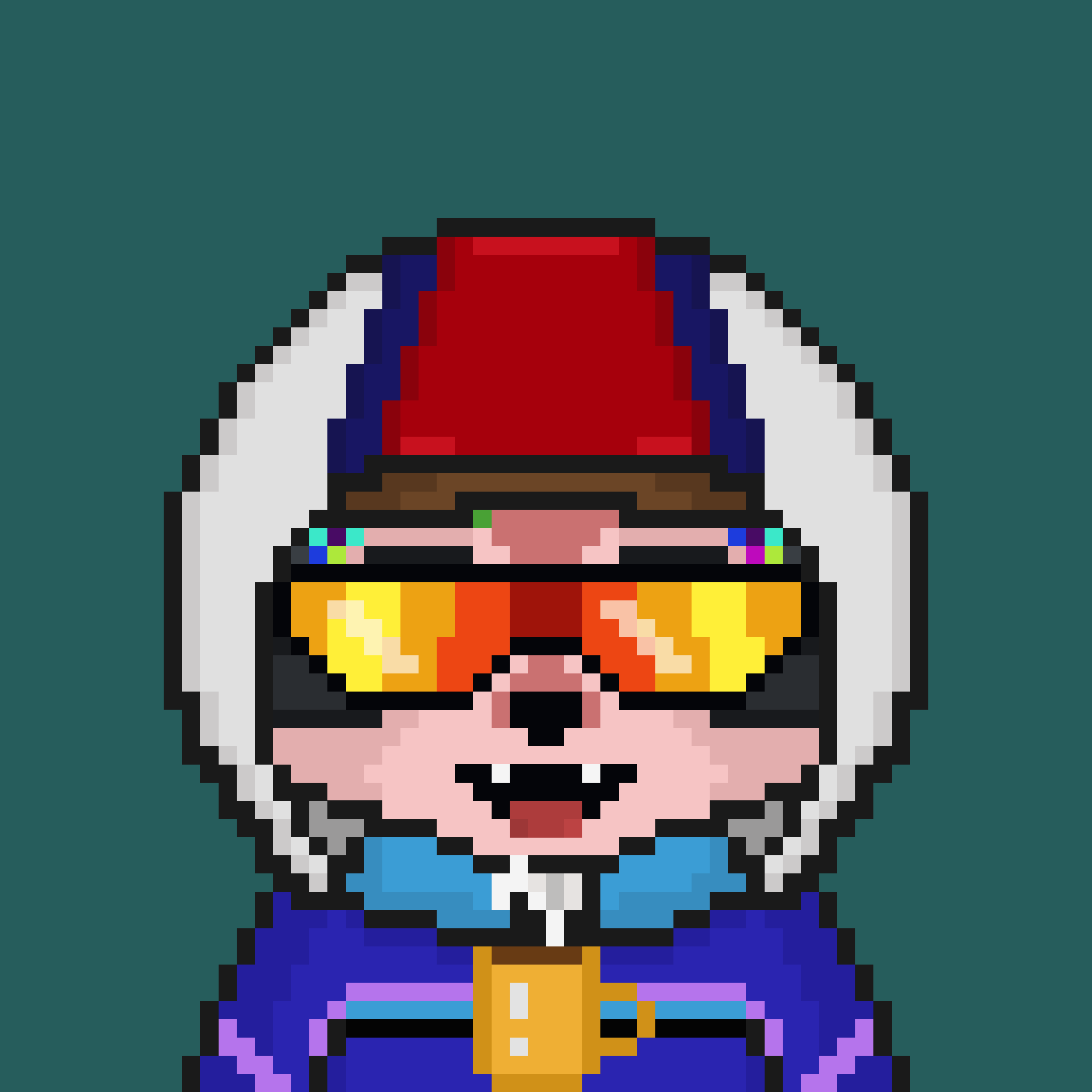 Pixel Raccoon #420 NFT on Algorand