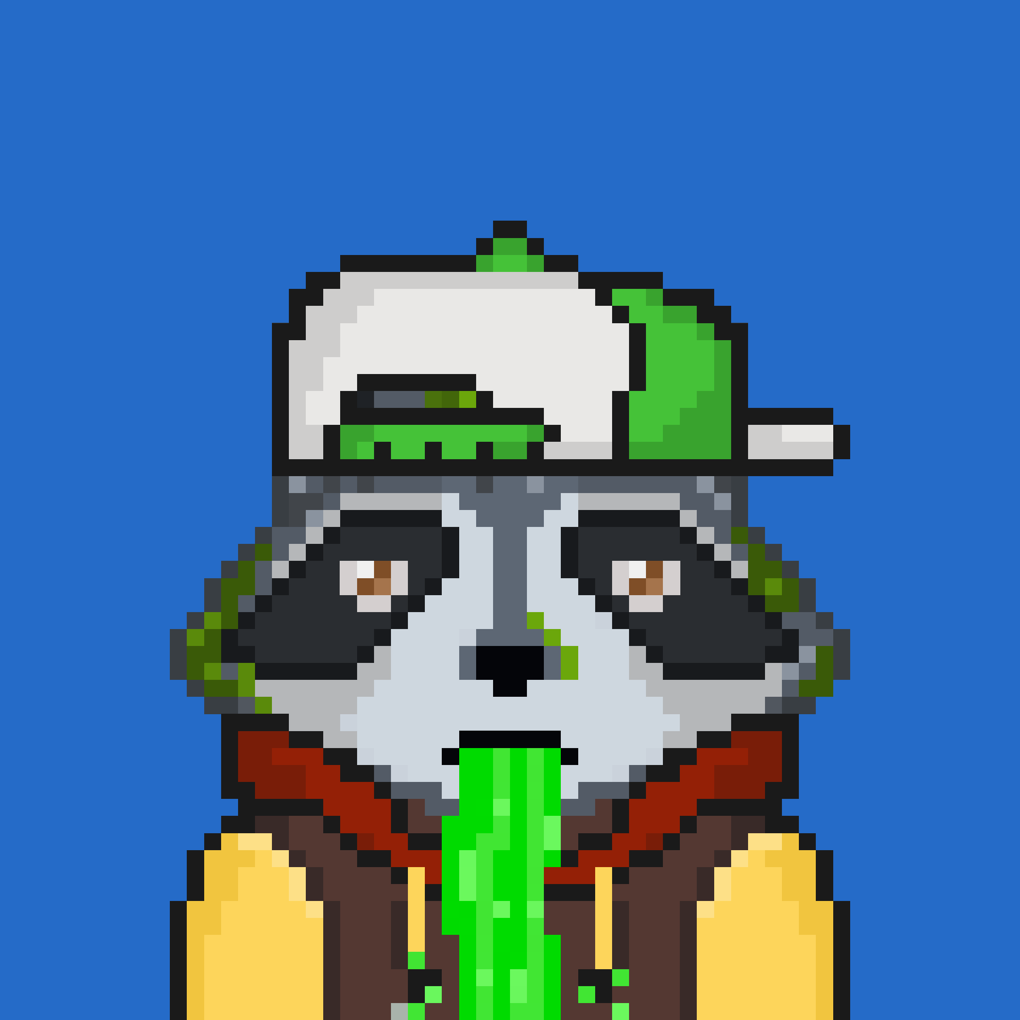Pixel Raccoon #422 NFT on Algorand