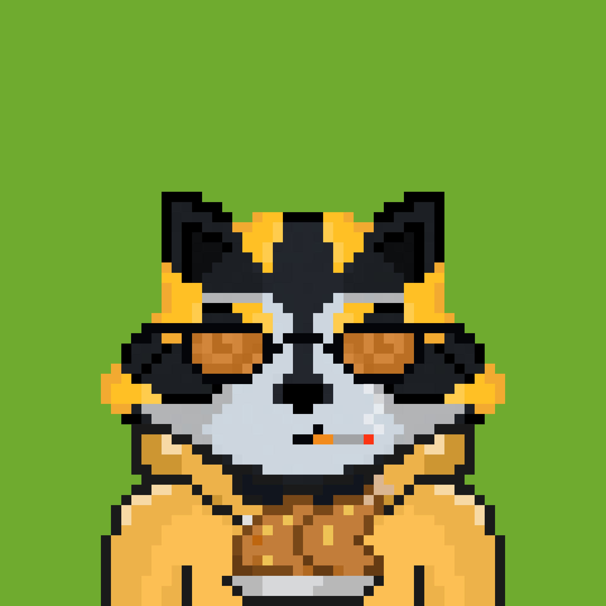 Pixel Raccoon #435 NFT on Algorand