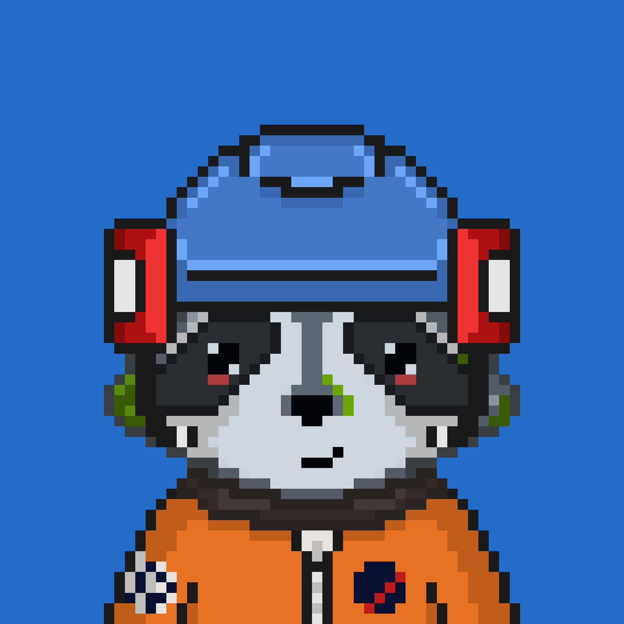 Pixel Raccoon #438 NFT on Algorand