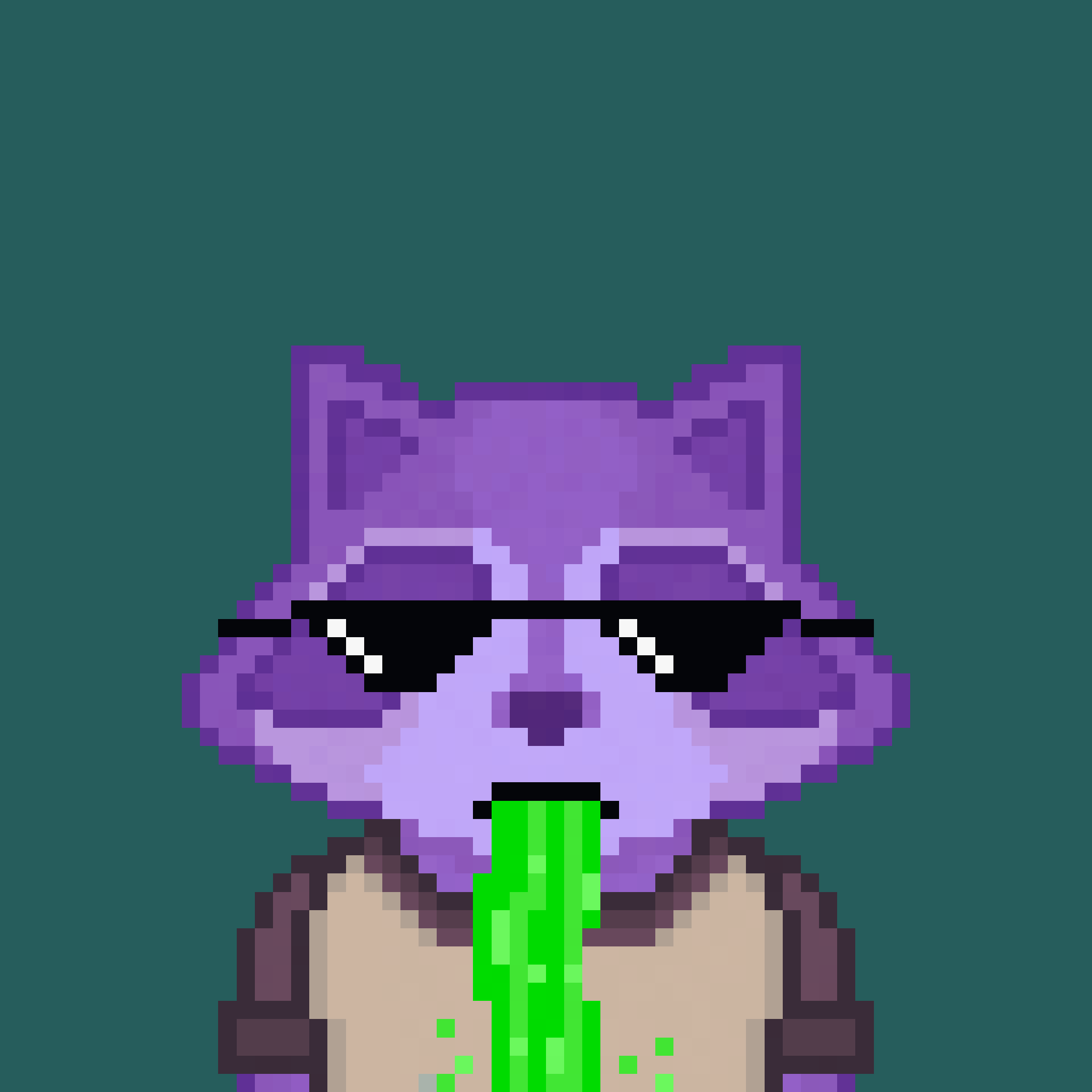 Pixel Raccoon #44 NFT on Algorand