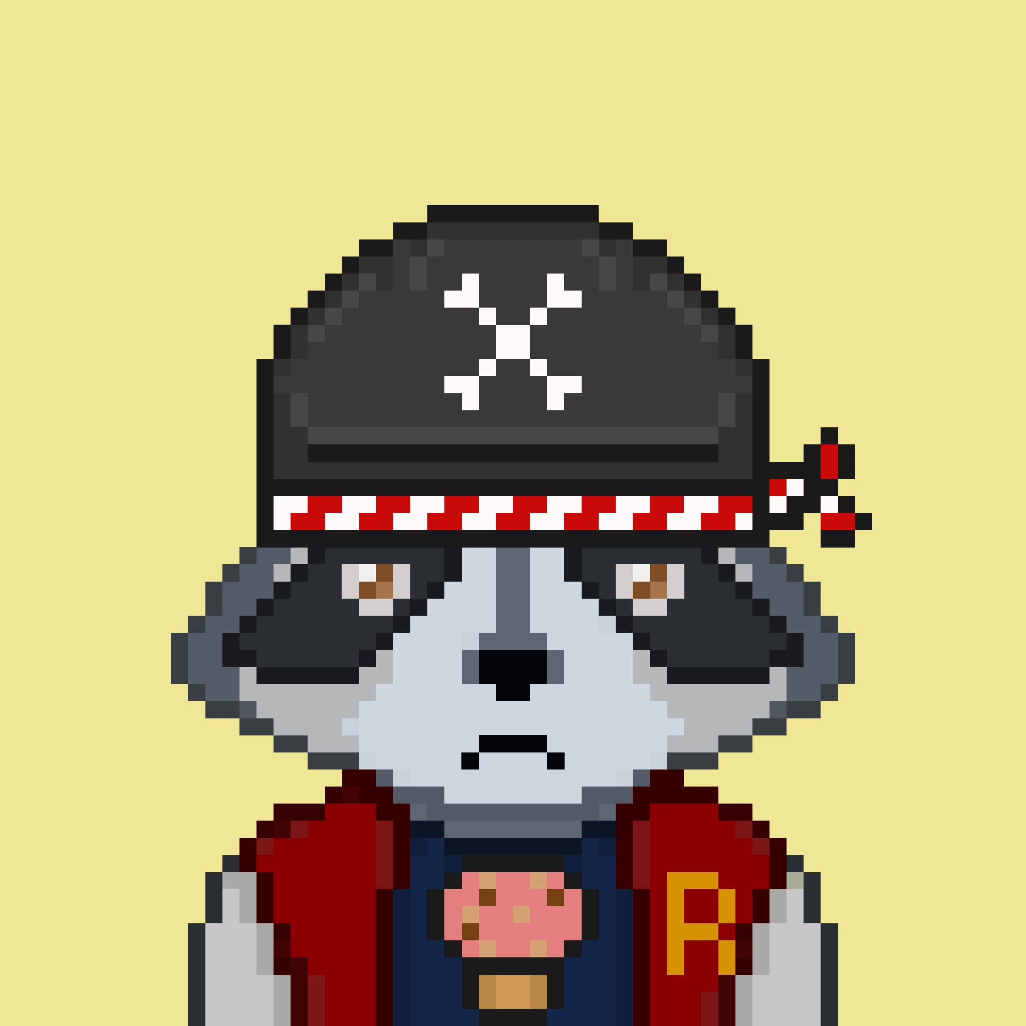 Pixel Raccoon #453 NFT on Algorand