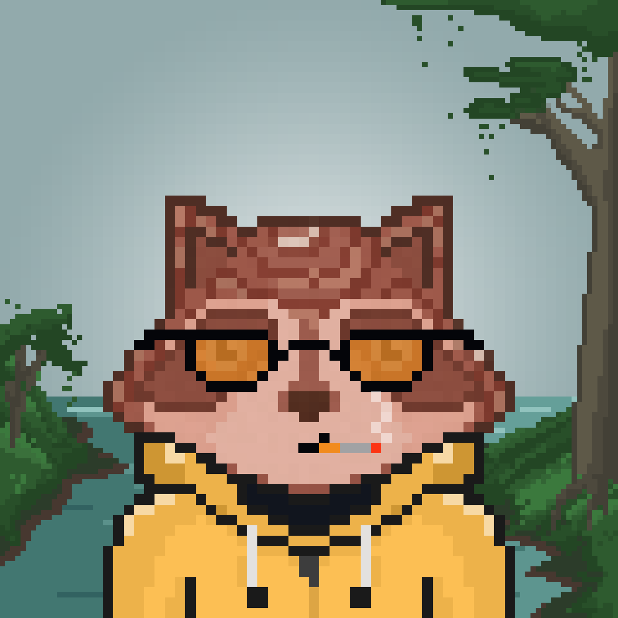 Pixel Raccoon #456 NFT on Algorand
