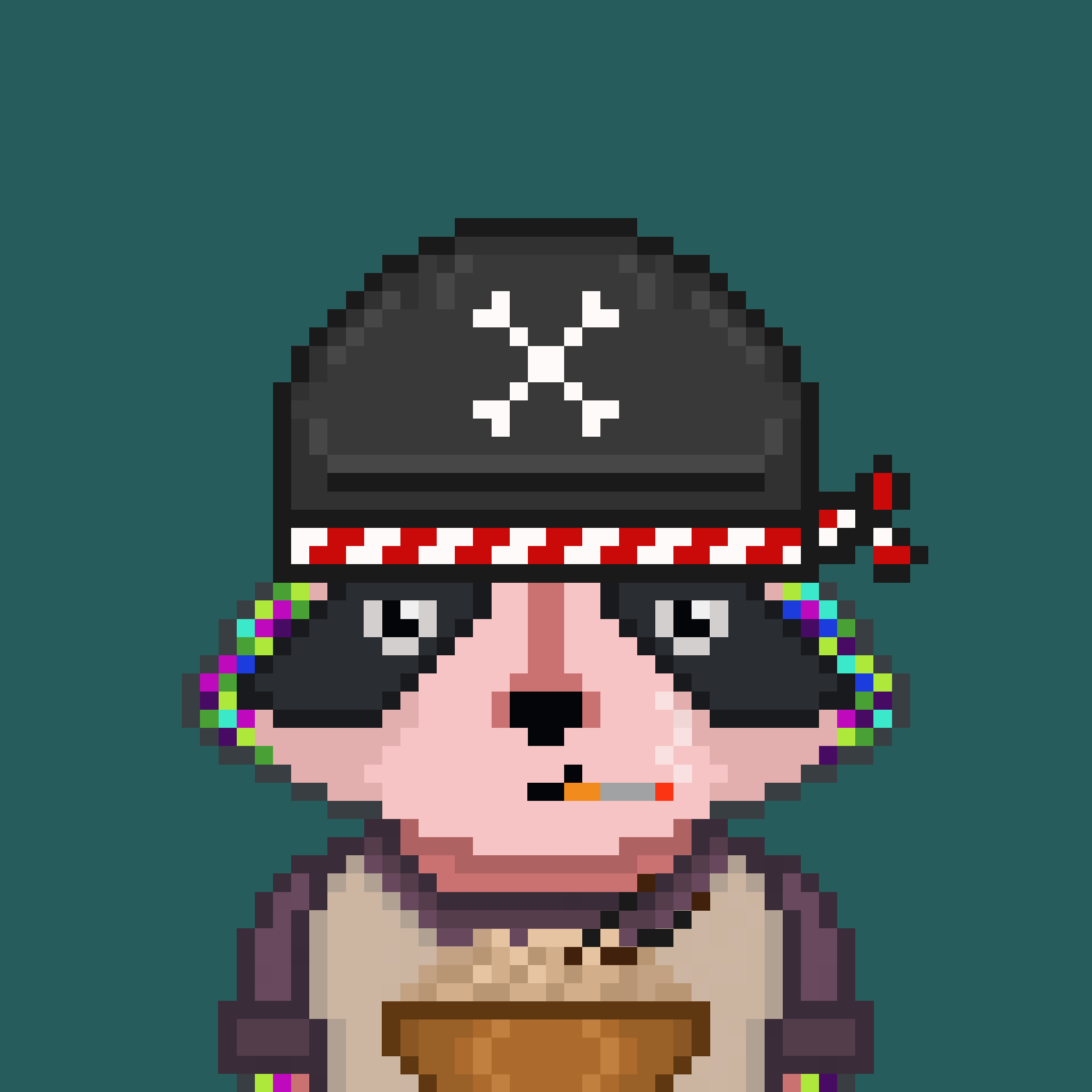 Pixel Raccoon #461 NFT on Algorand