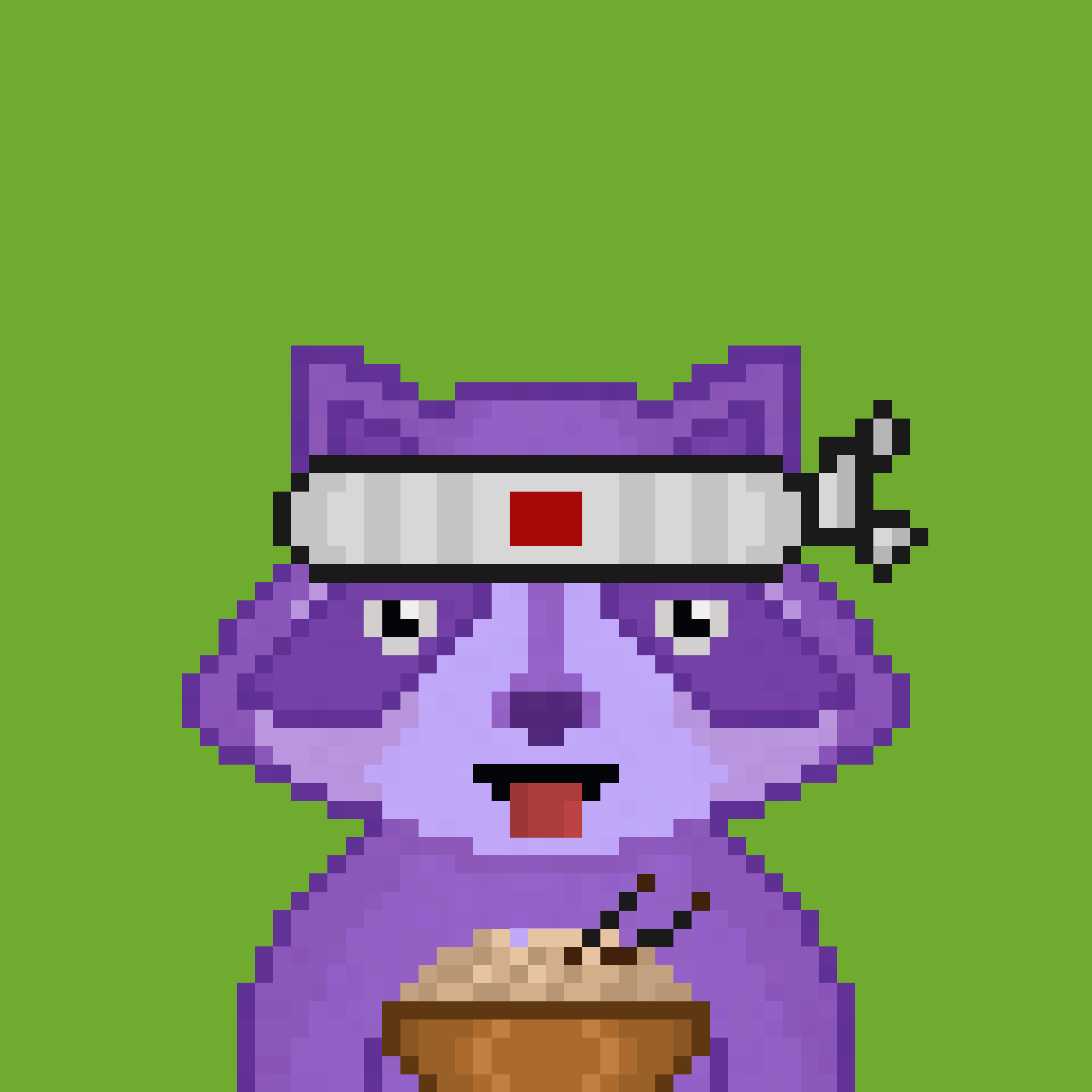 Pixel Raccoon #463 NFT on Algorand