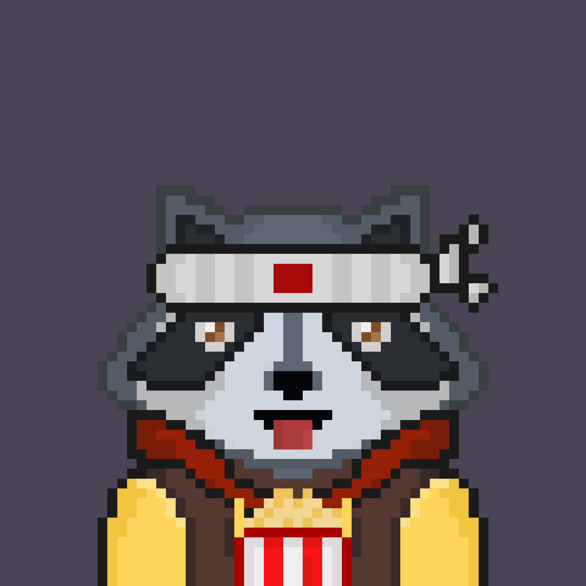 Pixel Raccoon #474 NFT on Algorand