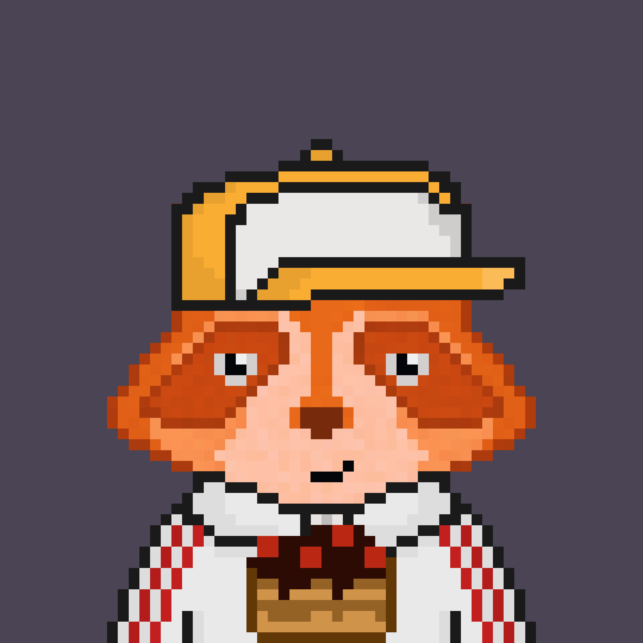 Pixel Raccoon #479 NFT on Algorand