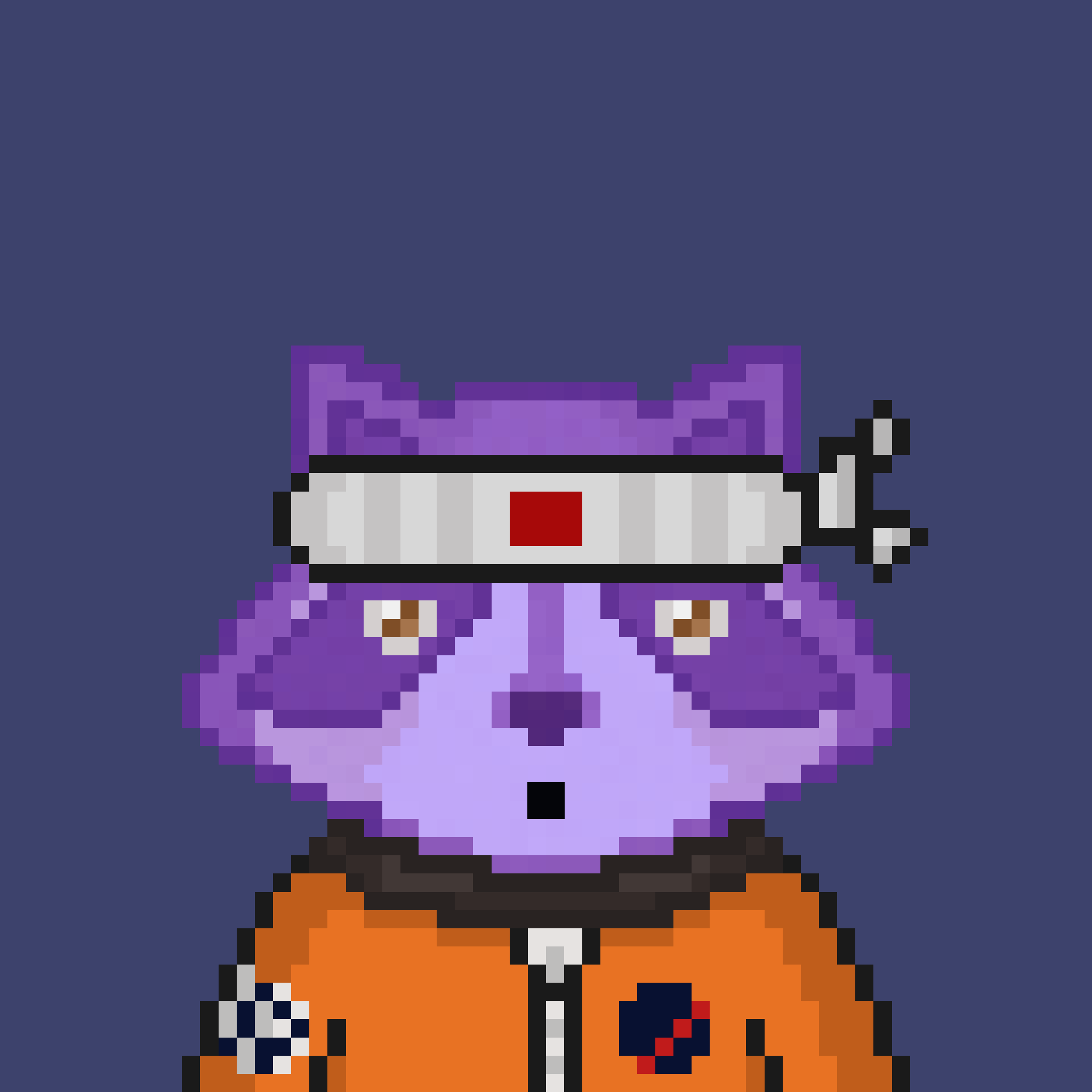 Pixel Raccoon #480 NFT on Algorand