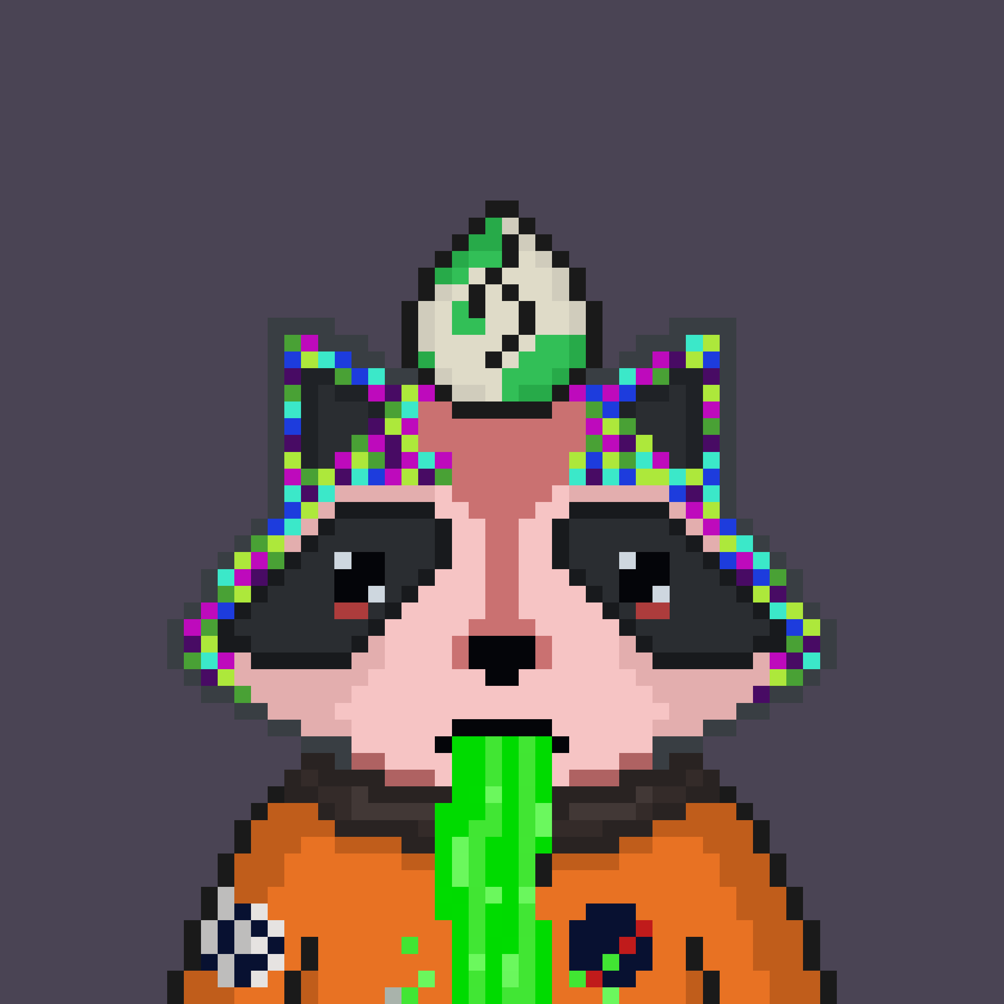 Pixel Raccoon #481 NFT on Algorand