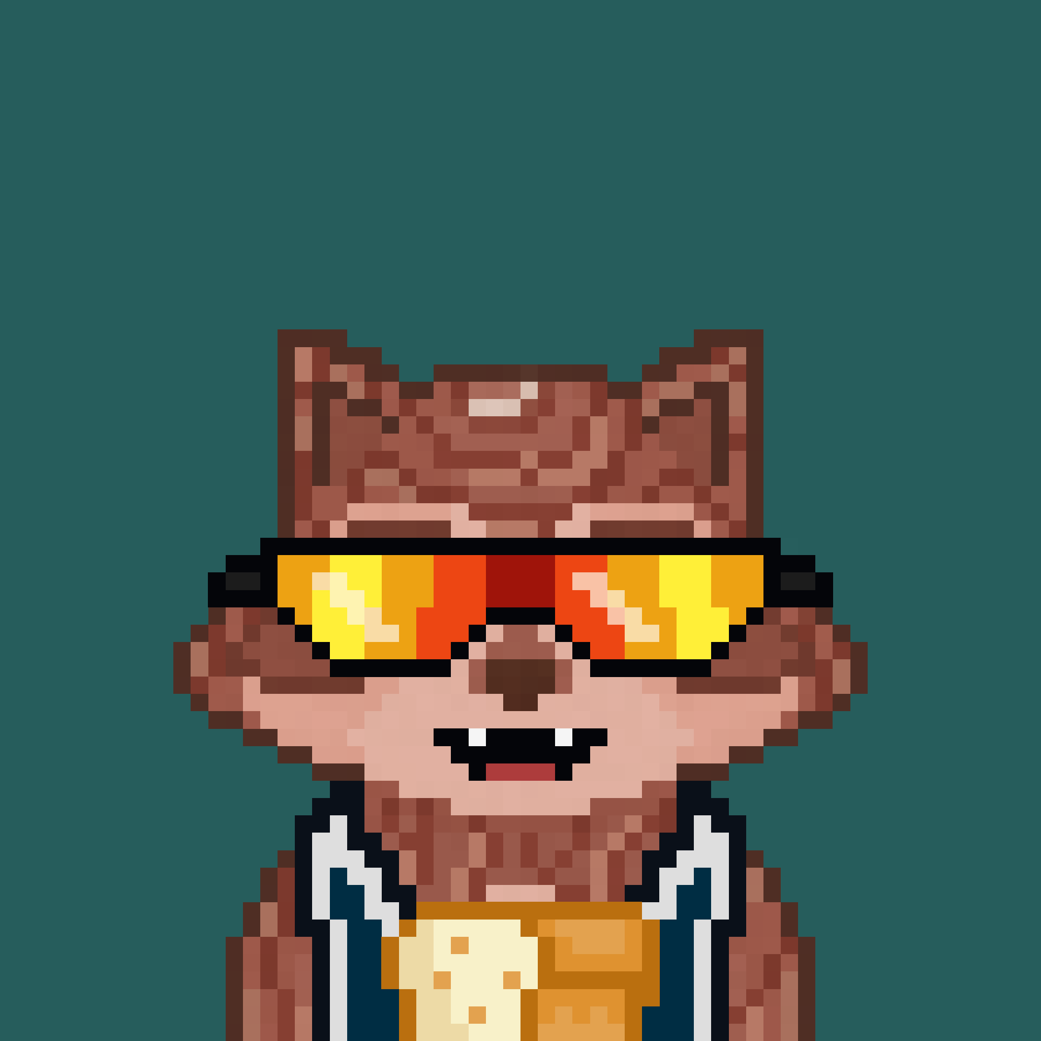 Pixel Raccoon #482 NFT on Algorand