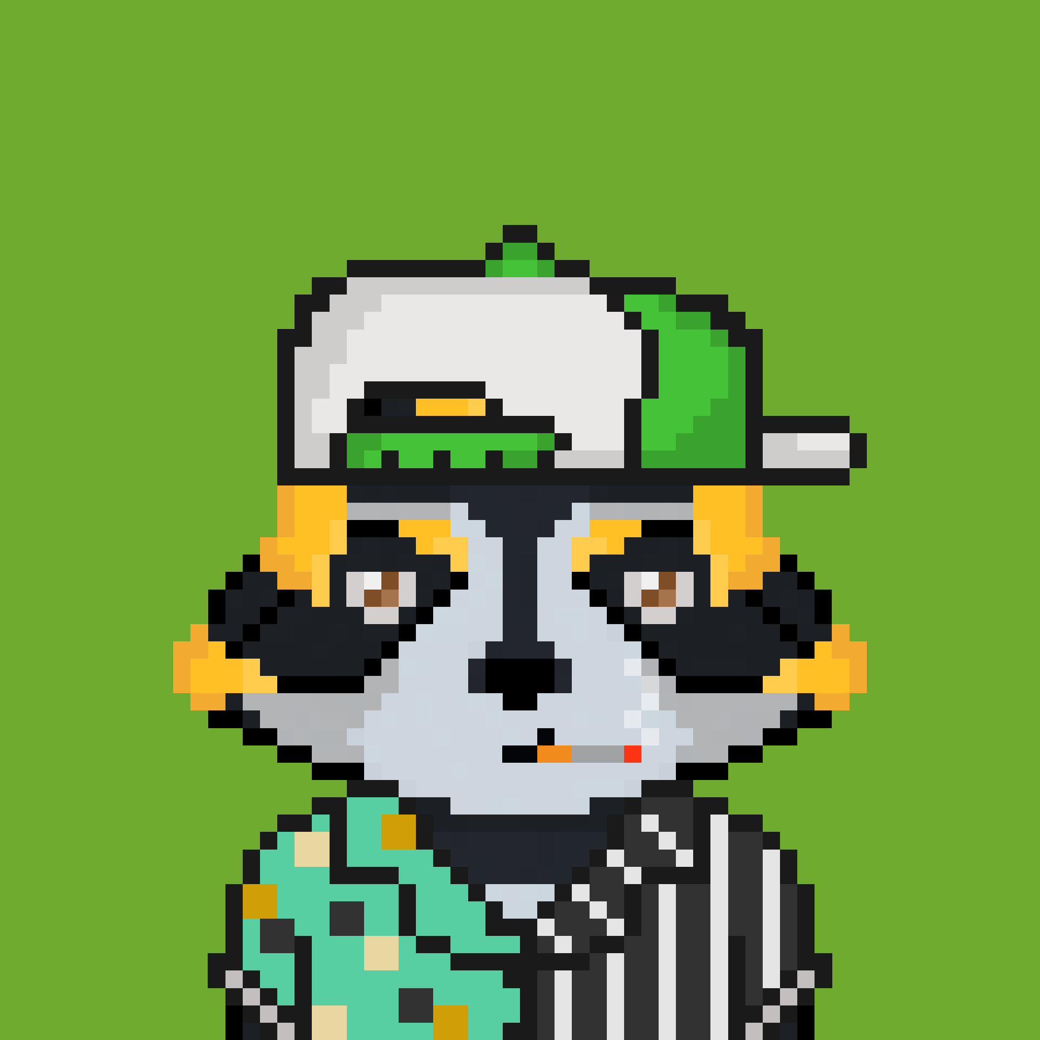 Pixel Raccoon #485 NFT on Algorand