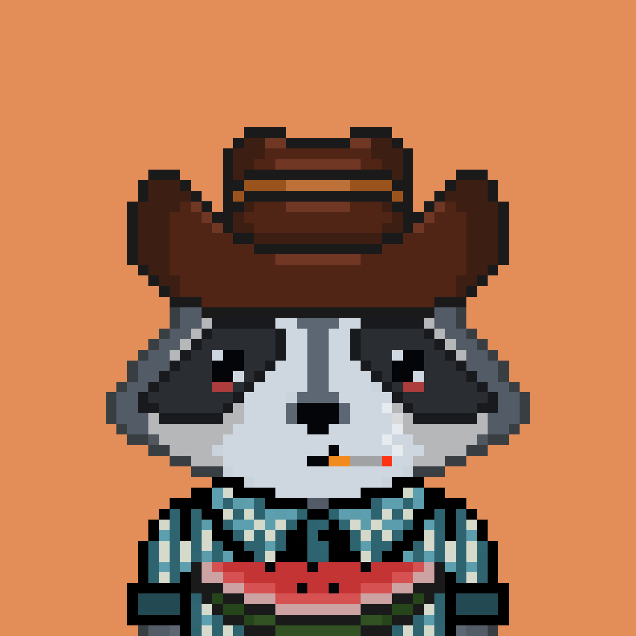 Pixel Raccoon #489 NFT on Algorand