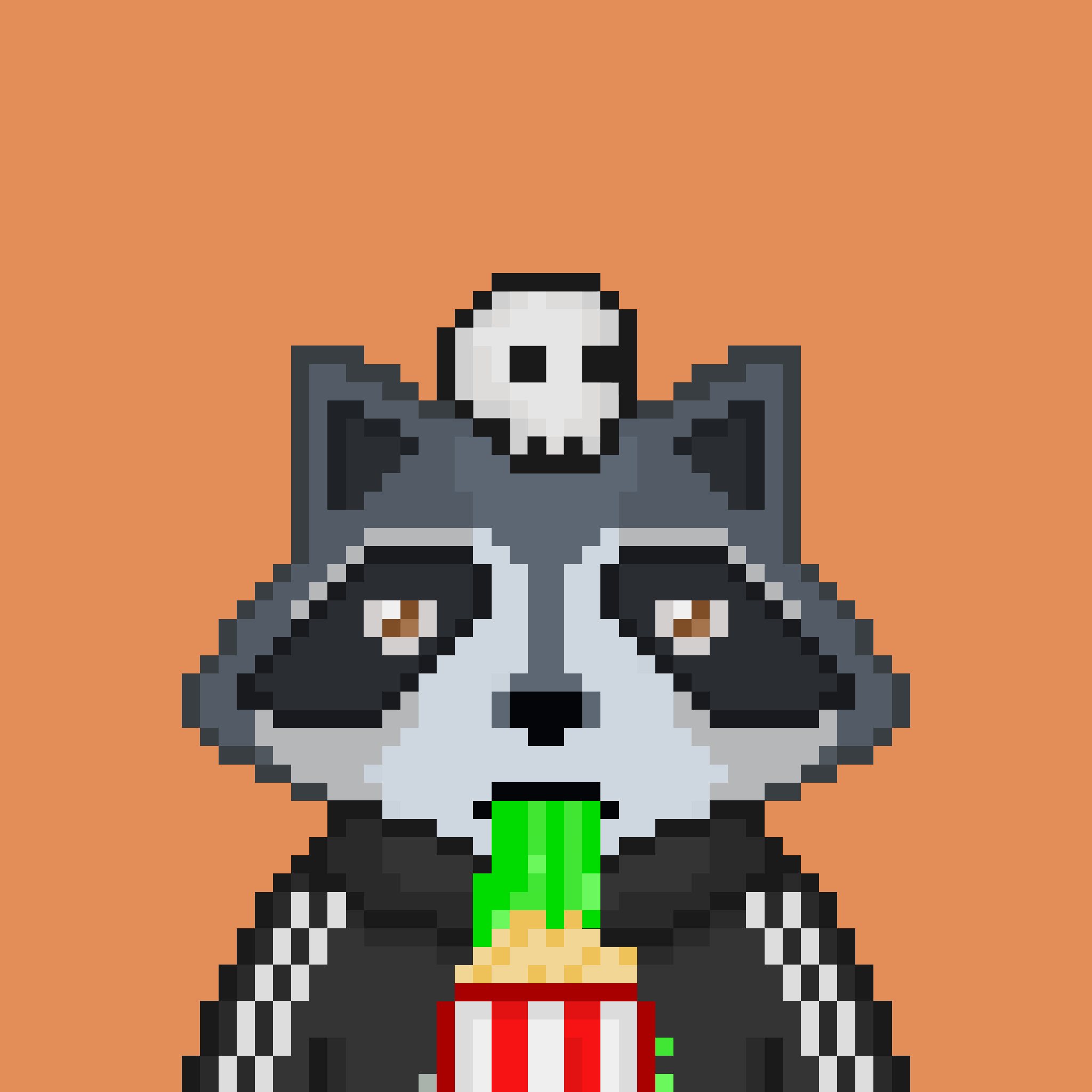 Pixel Raccoon #49 NFT on Algorand
