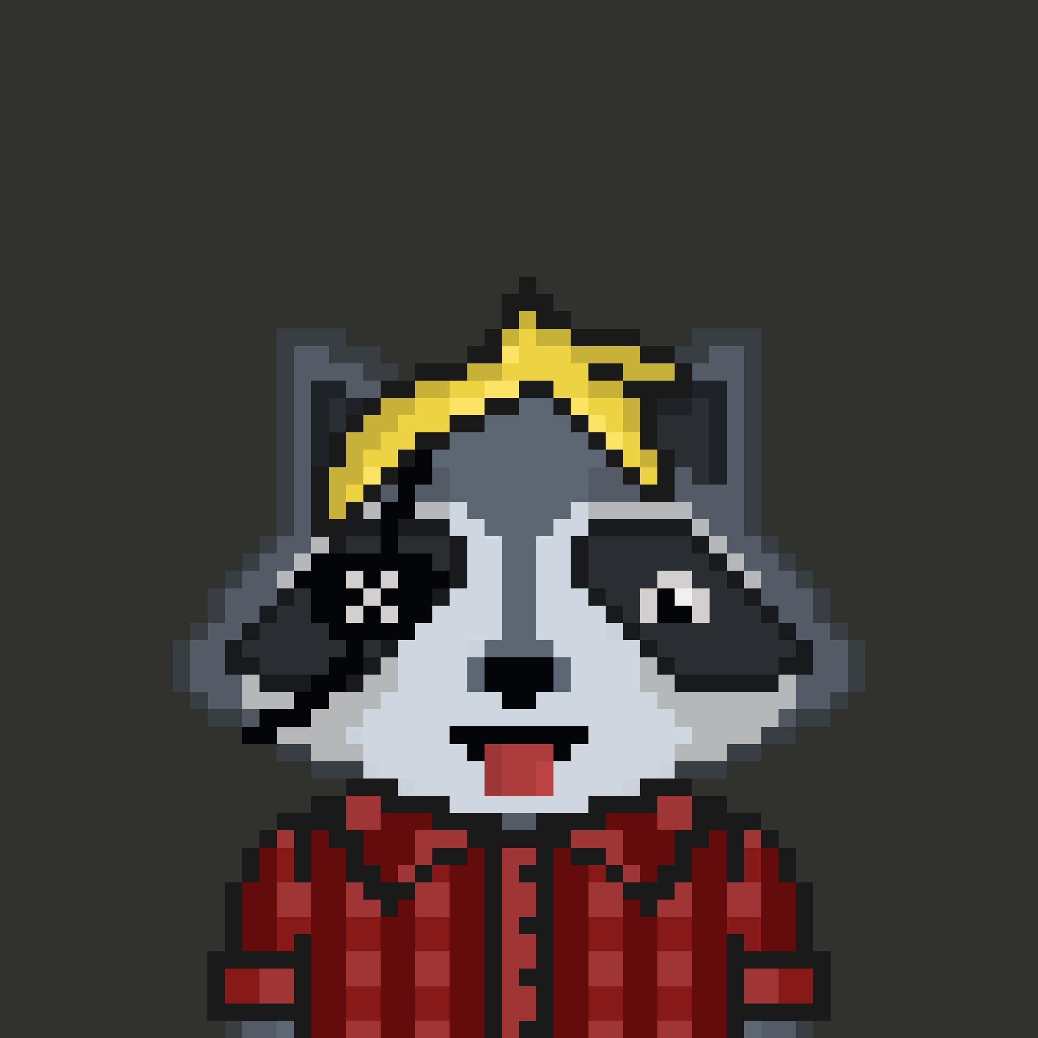 Pixel Raccoon #493 NFT on Algorand
