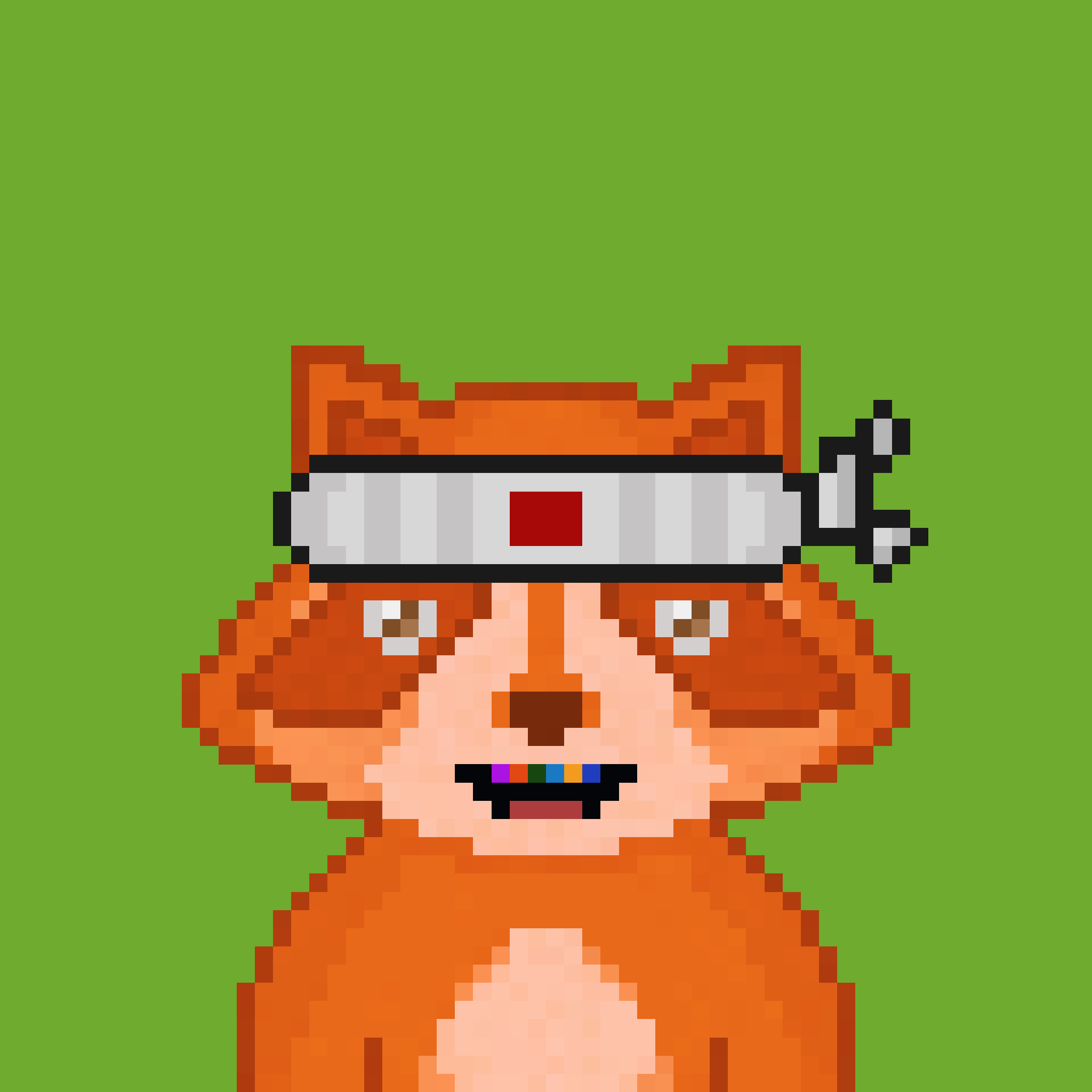 Pixel Raccoon #494 NFT on Algorand