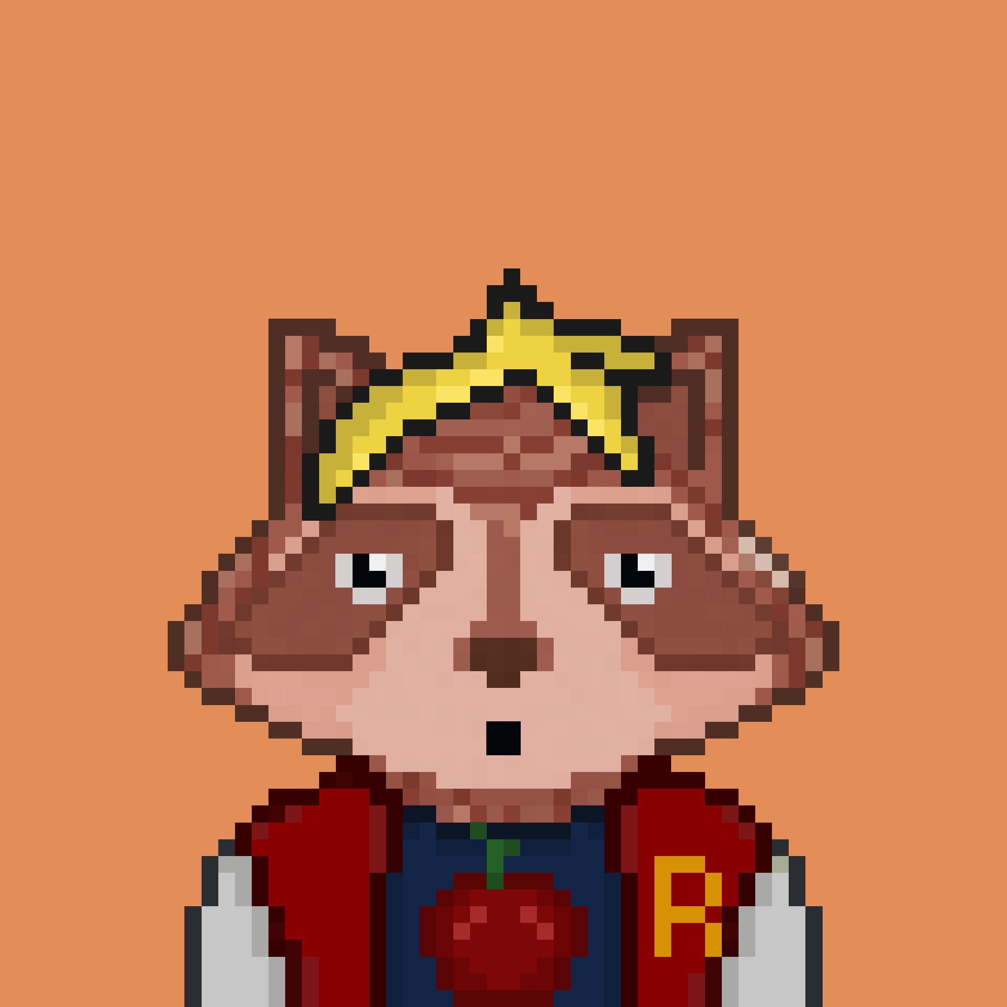 Pixel Raccoon #5 NFT on Algorand