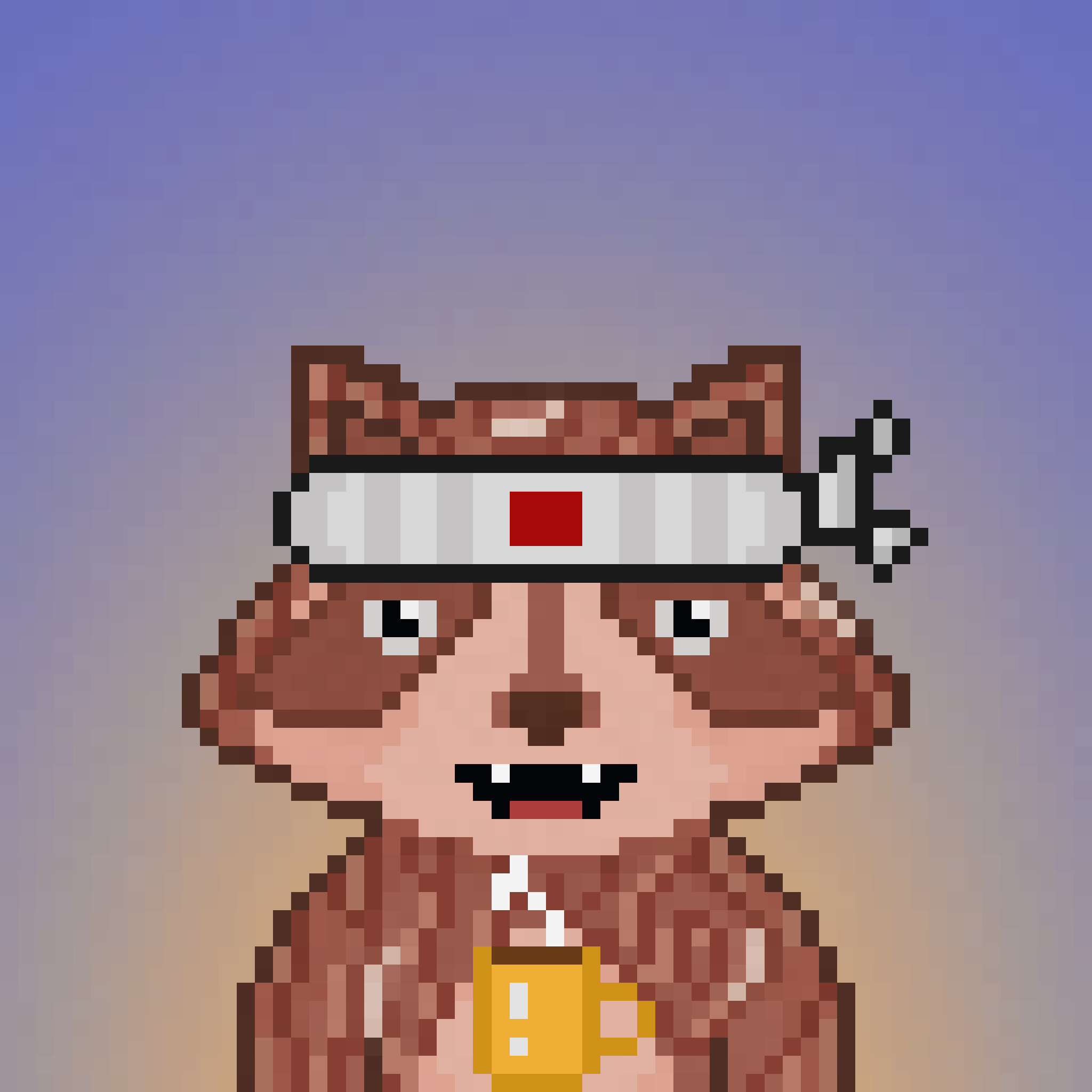 Pixel Raccoon #507 NFT on Algorand