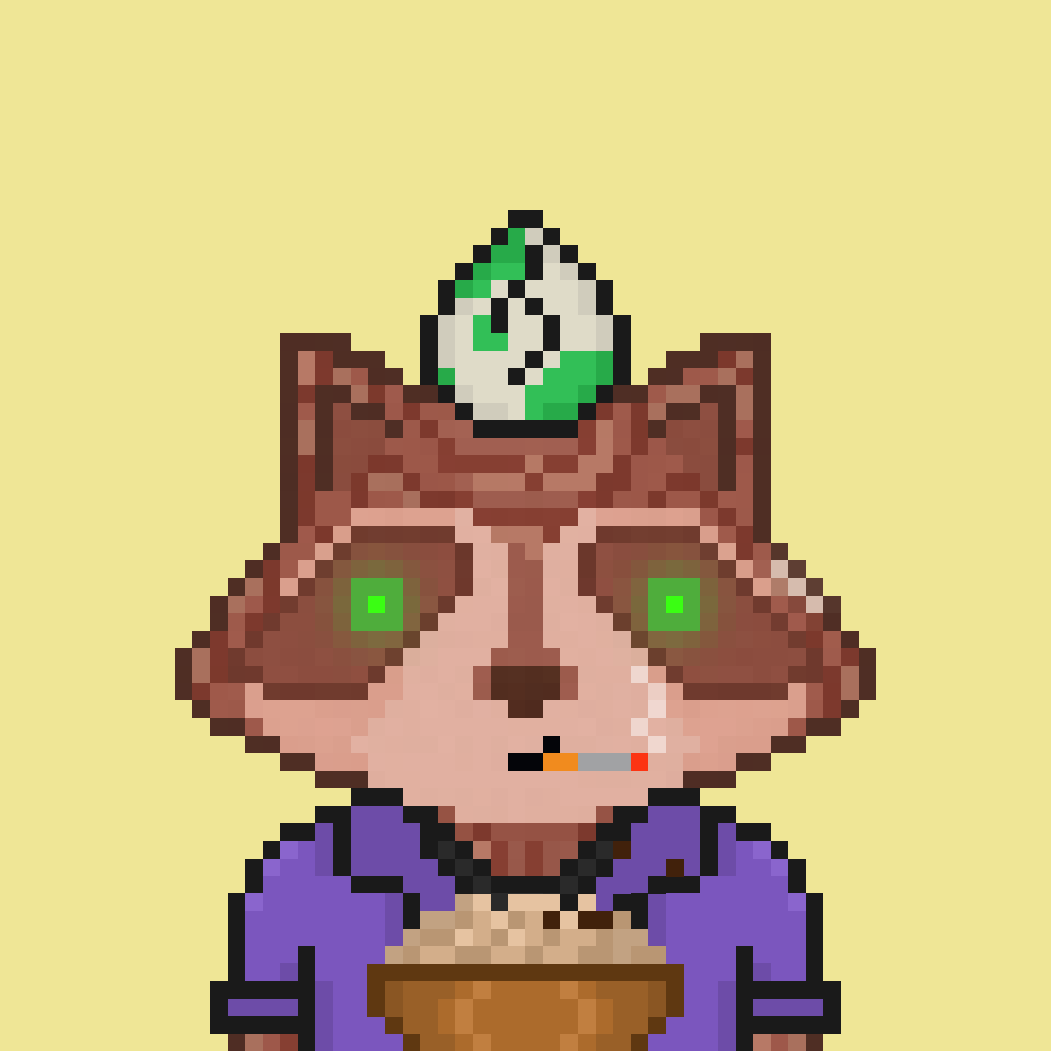 Pixel Raccoon #511 NFT on Algorand