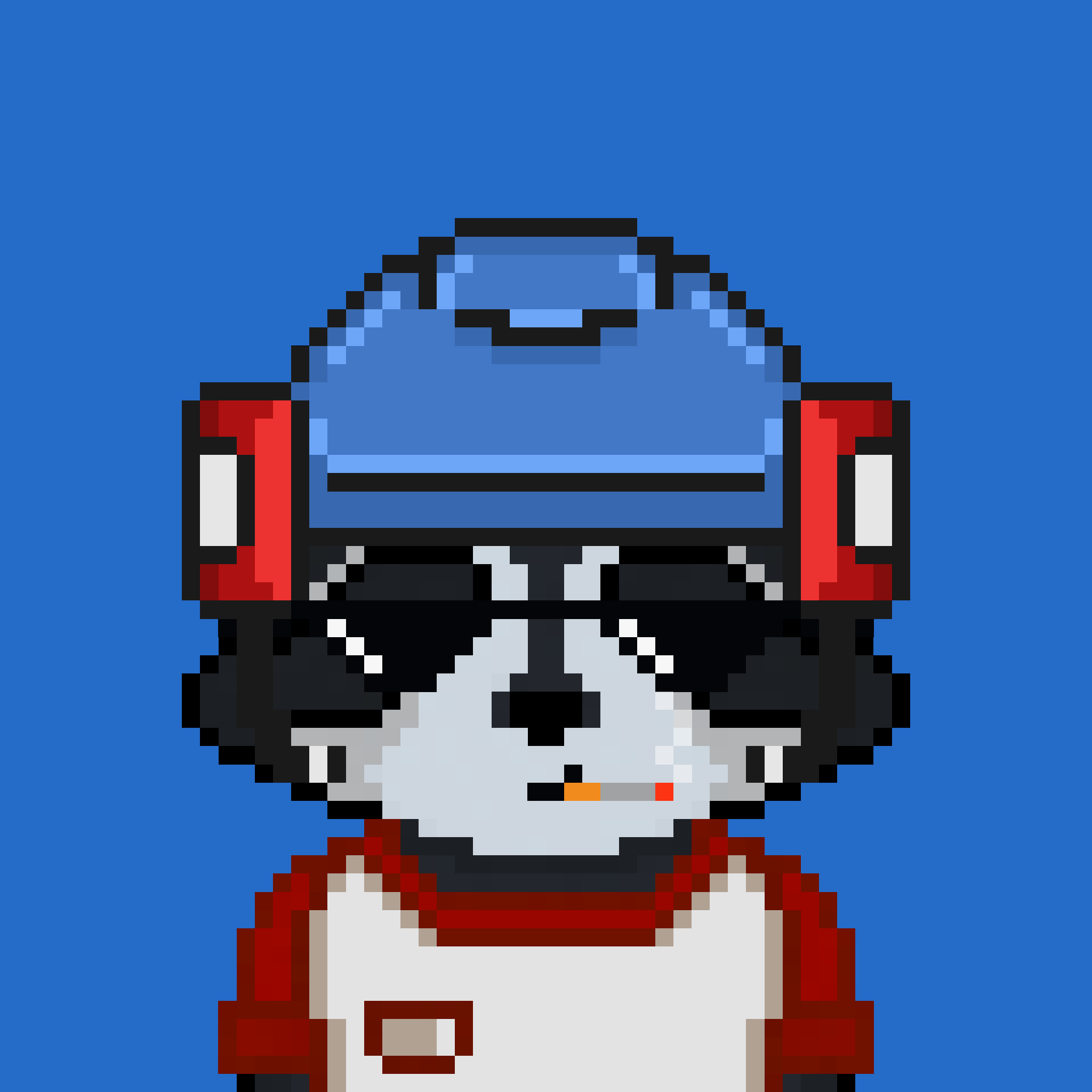 Pixel Raccoon #512 NFT on Algorand