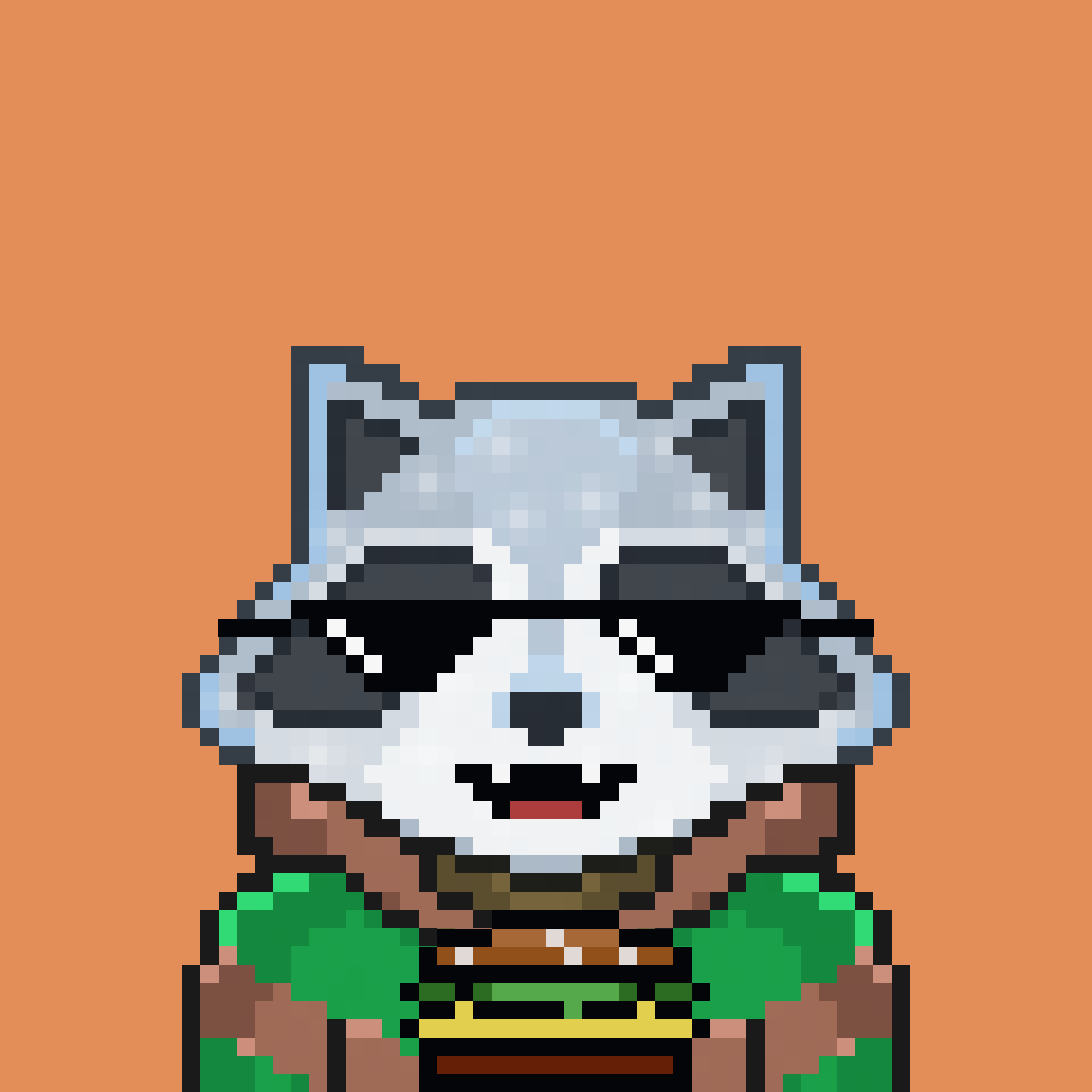 Pixel Raccoon #515 NFT on Algorand