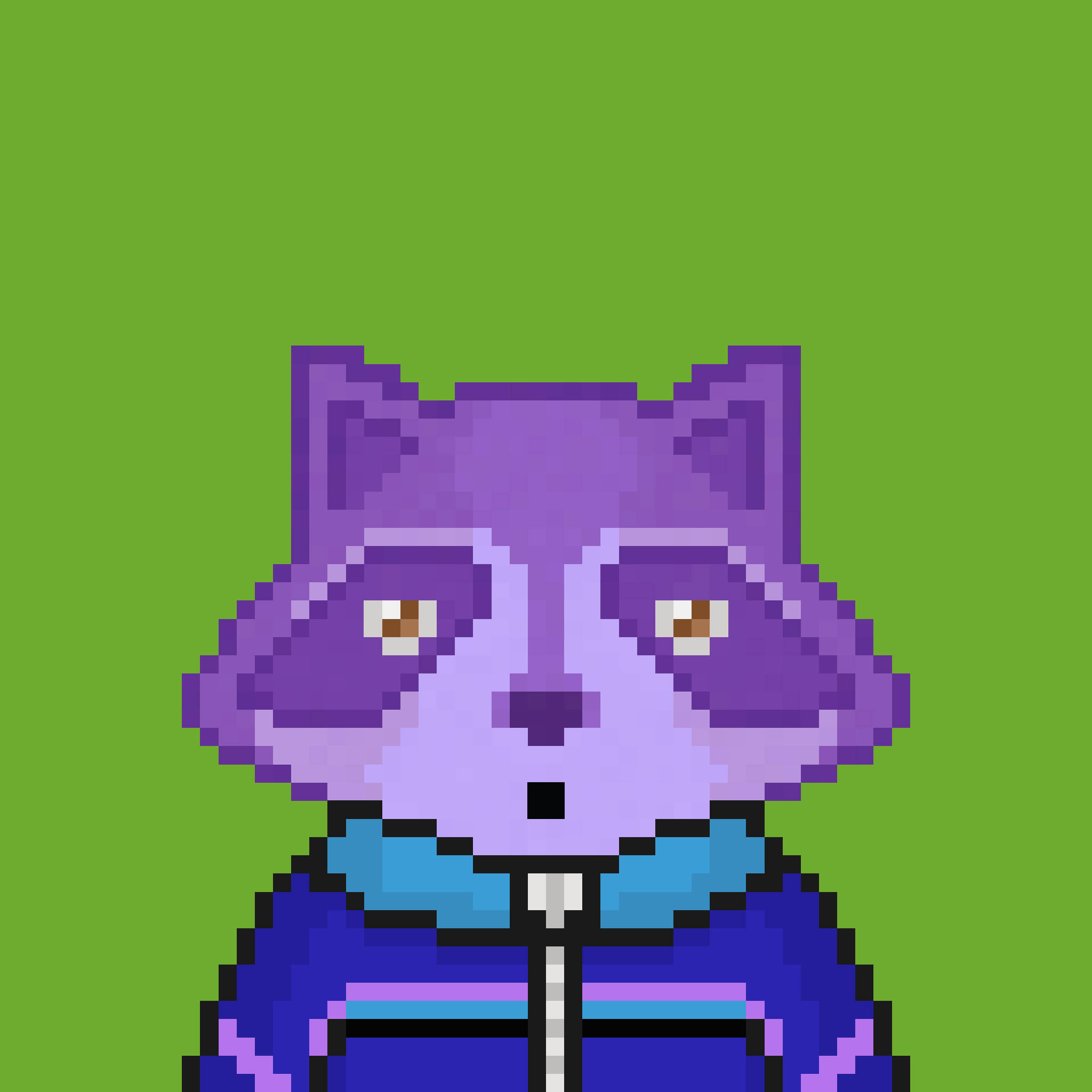 Pixel Raccoon #52 NFT on Algorand