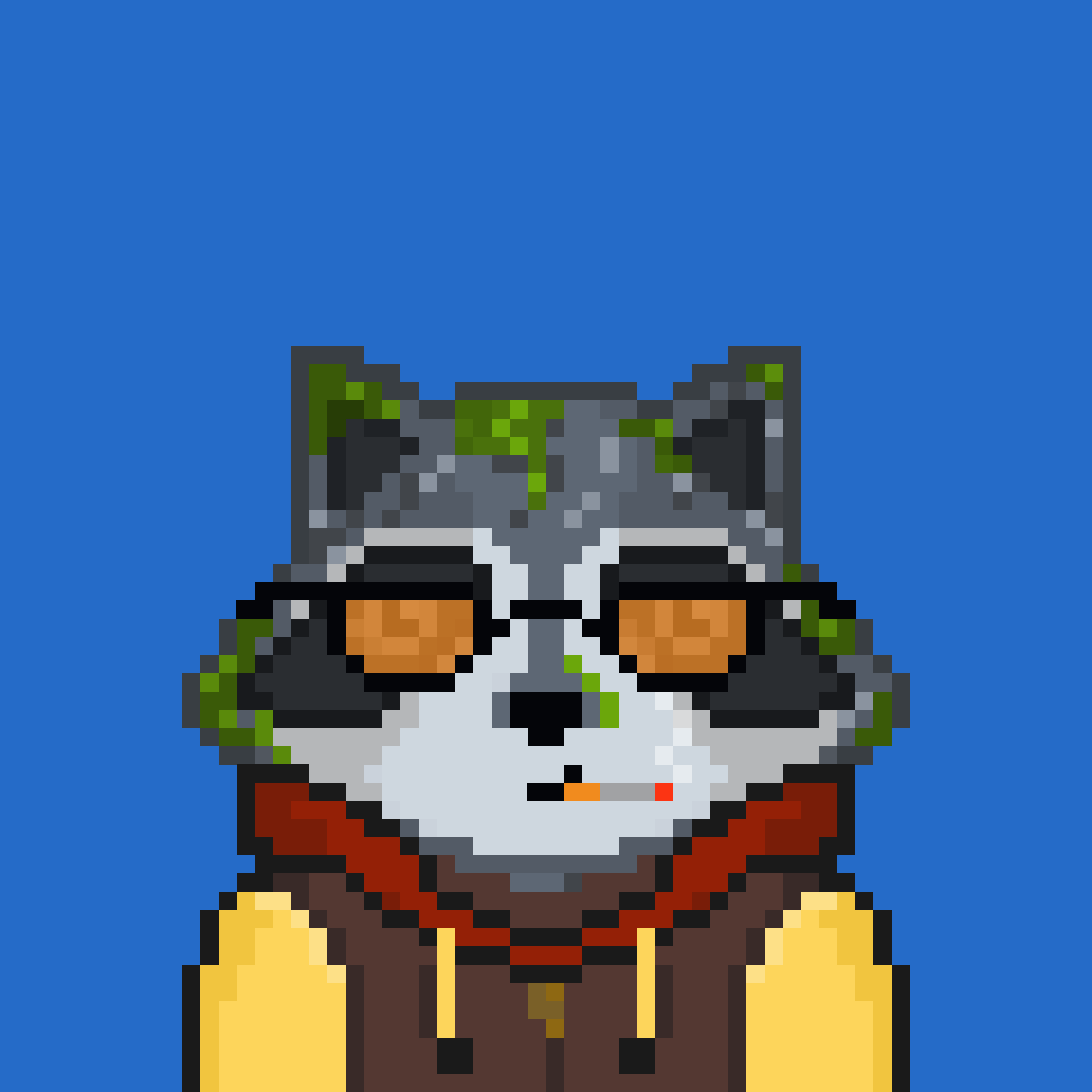 Pixel Raccoon #520 NFT on Algorand