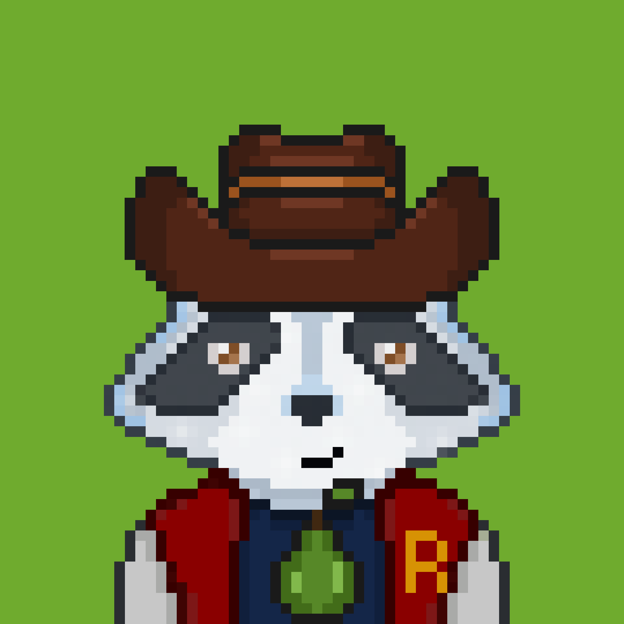 Pixel Raccoon #528 NFT on Algorand