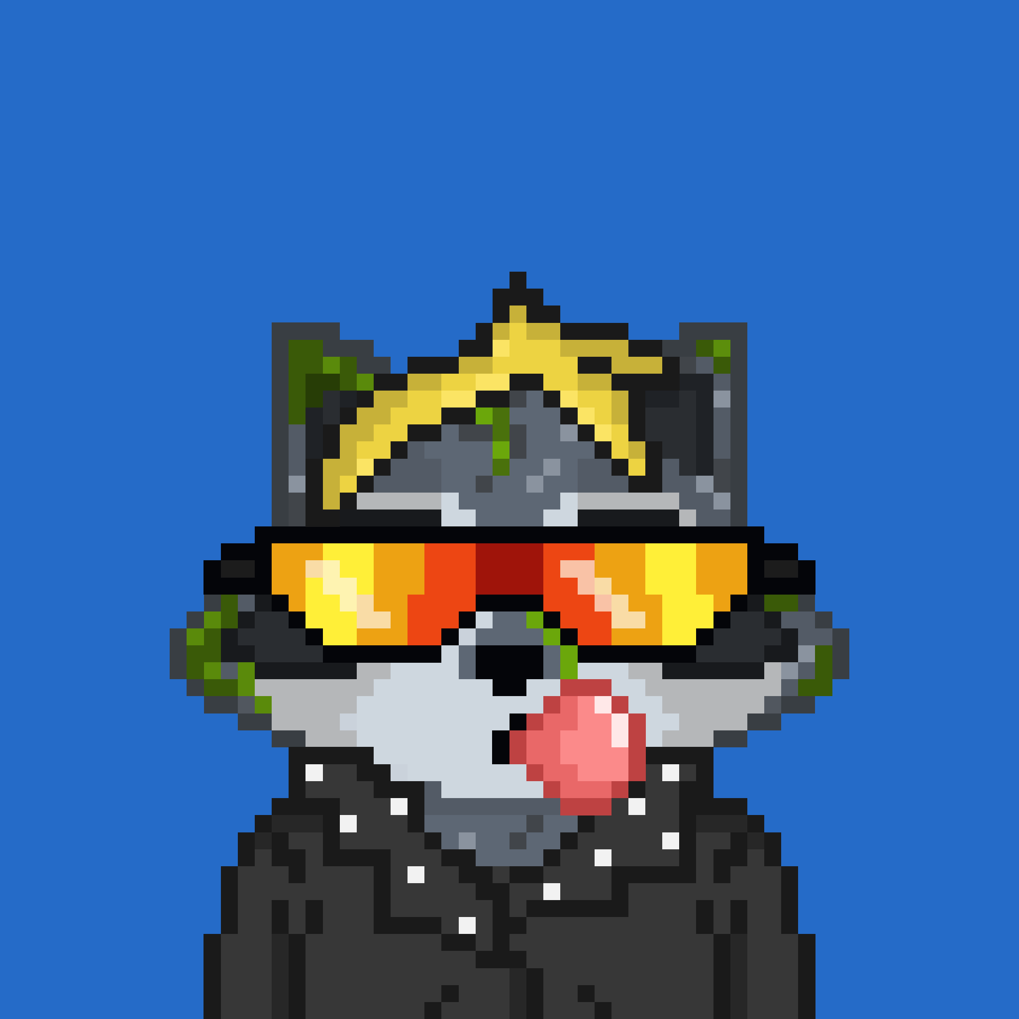 Pixel Raccoon #533 NFT on Algorand