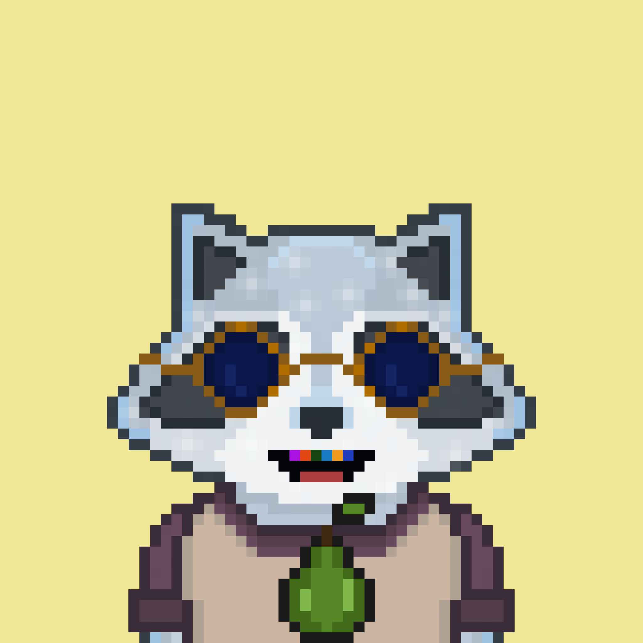 Pixel Raccoon #534 NFT on Algorand