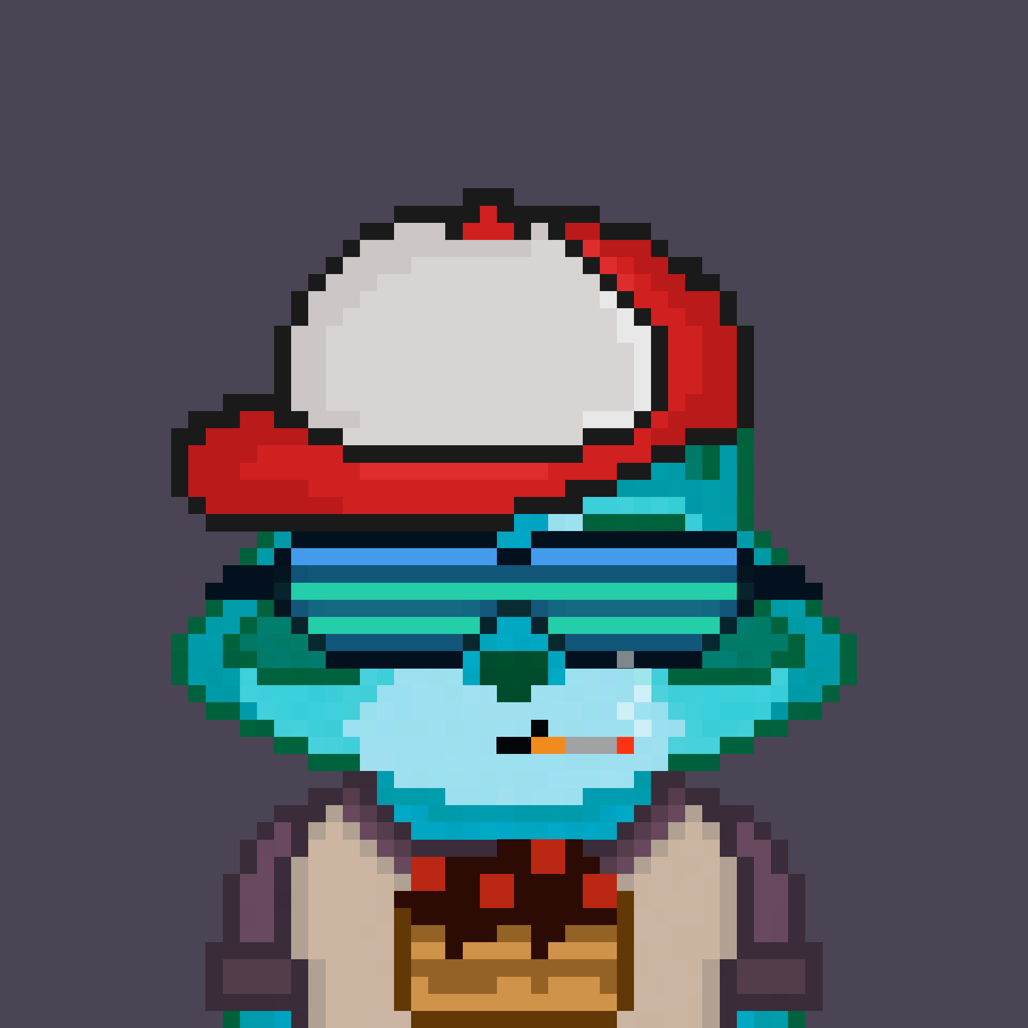 Pixel Raccoon #537 NFT on Algorand