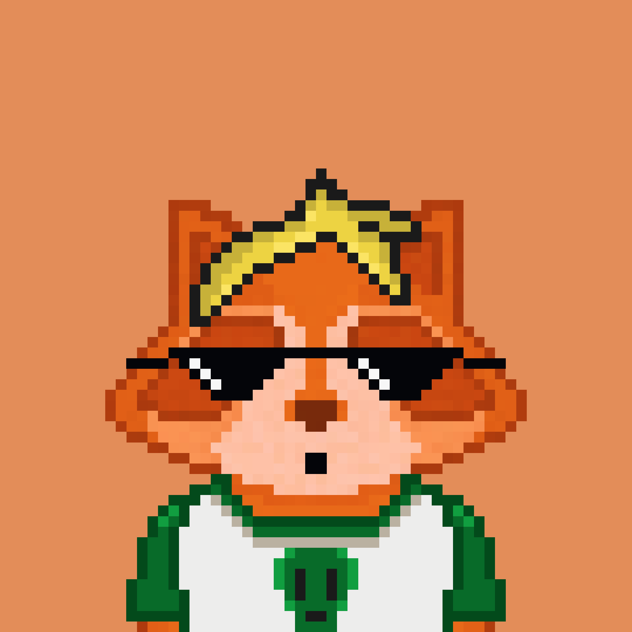 Pixel Raccoon #540 NFT on Algorand