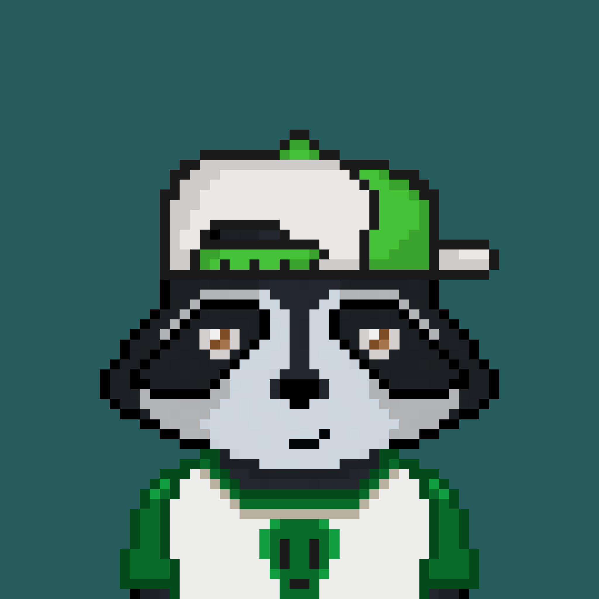 Pixel Raccoon #571 NFT on Algorand