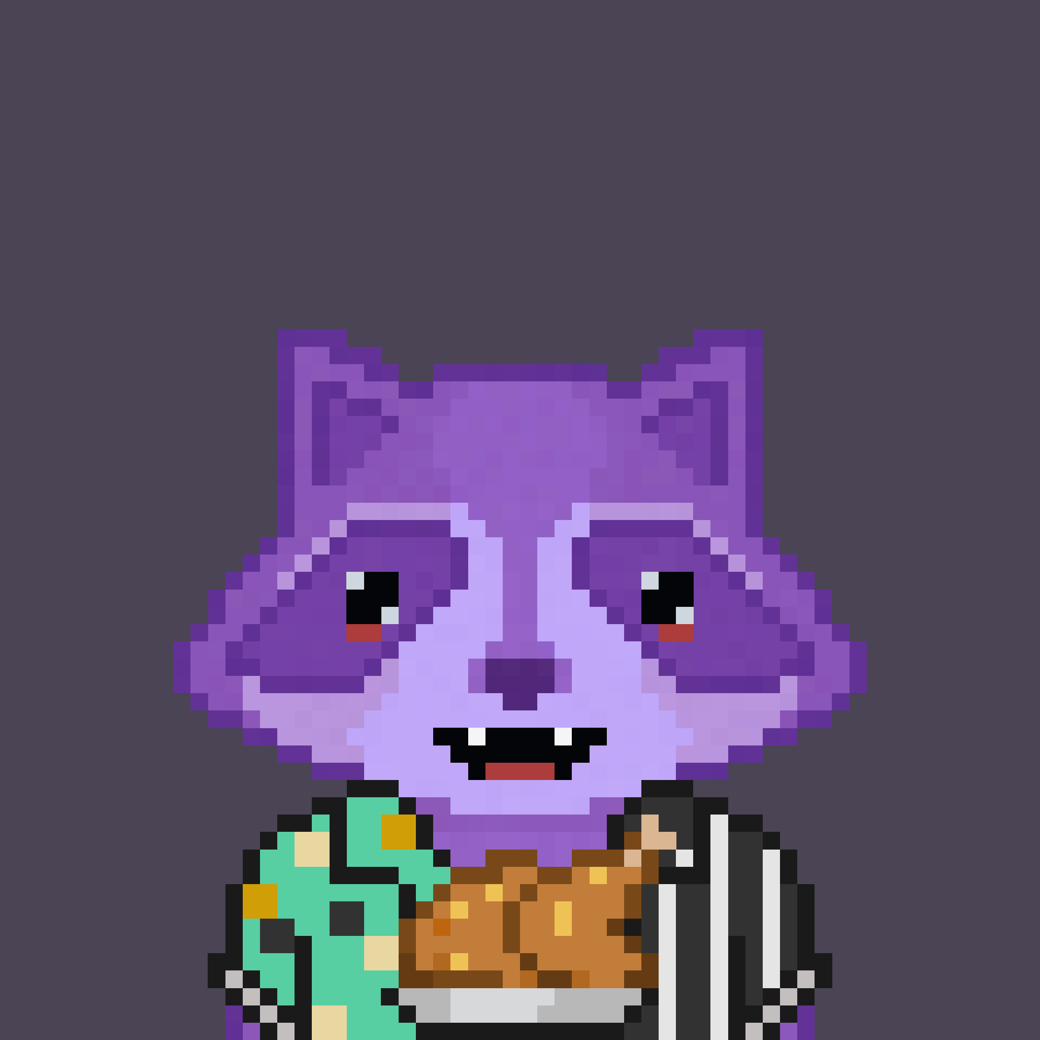 Pixel Raccoon #582 NFT on Algorand