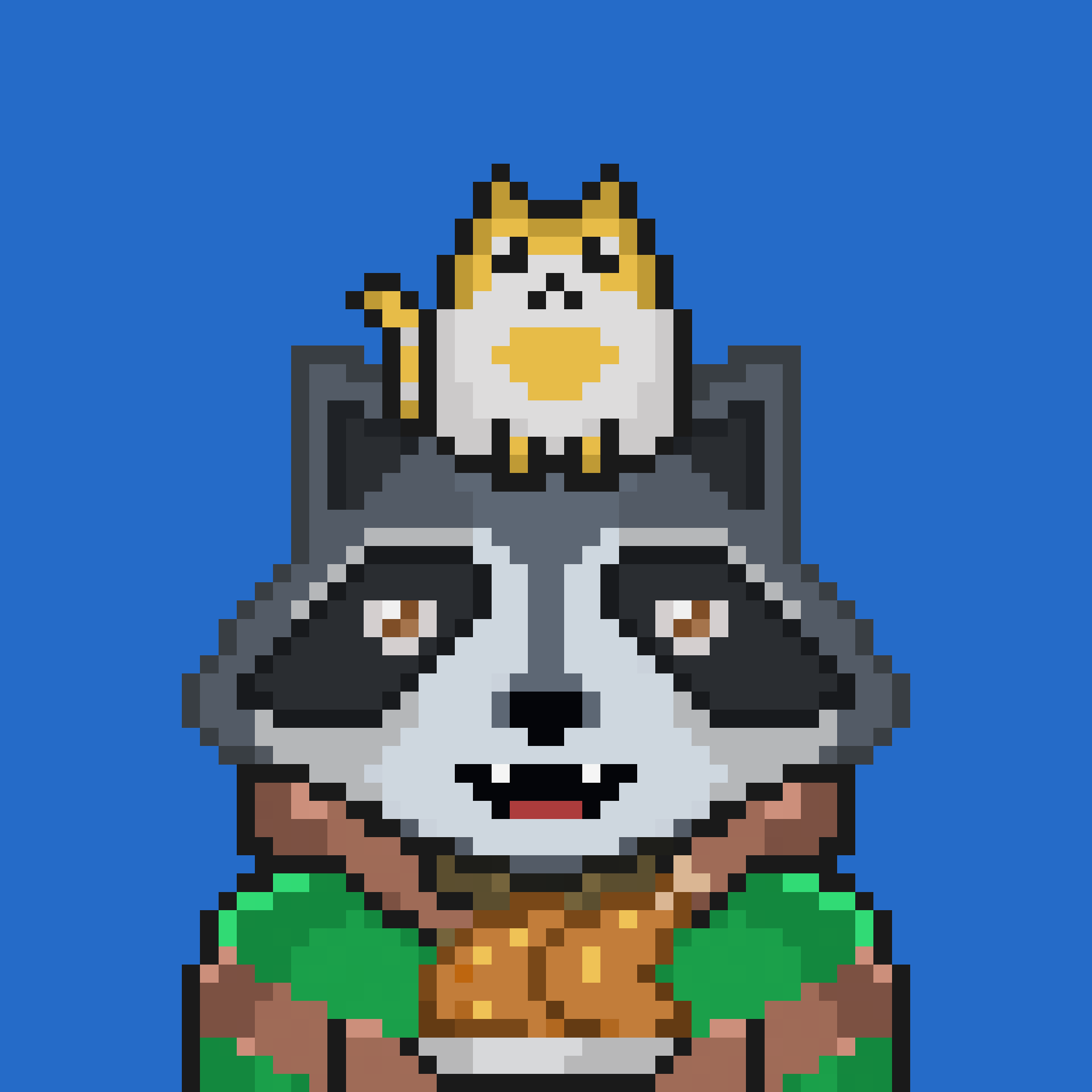 Pixel Raccoon #606 NFT on Algorand