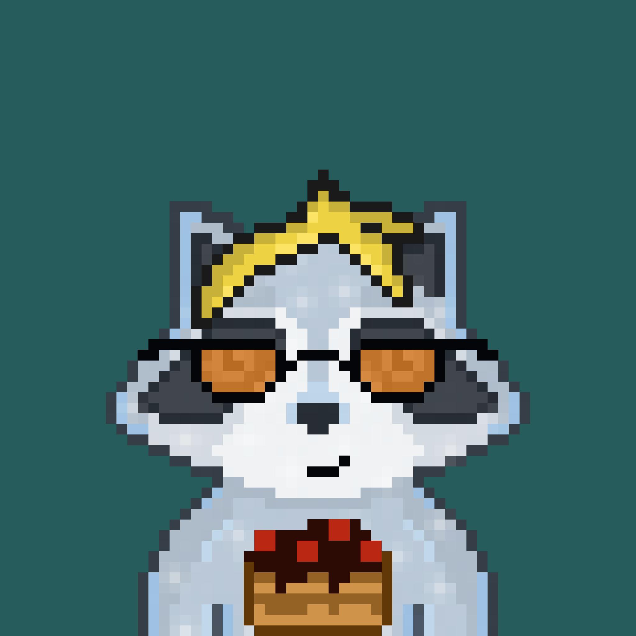Pixel Raccoon #607 NFT on Algorand