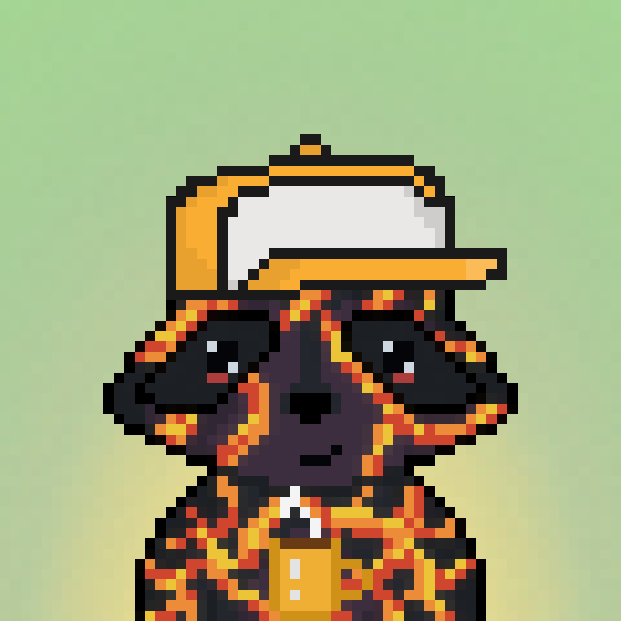 Pixel Raccoon #611 NFT on Algorand