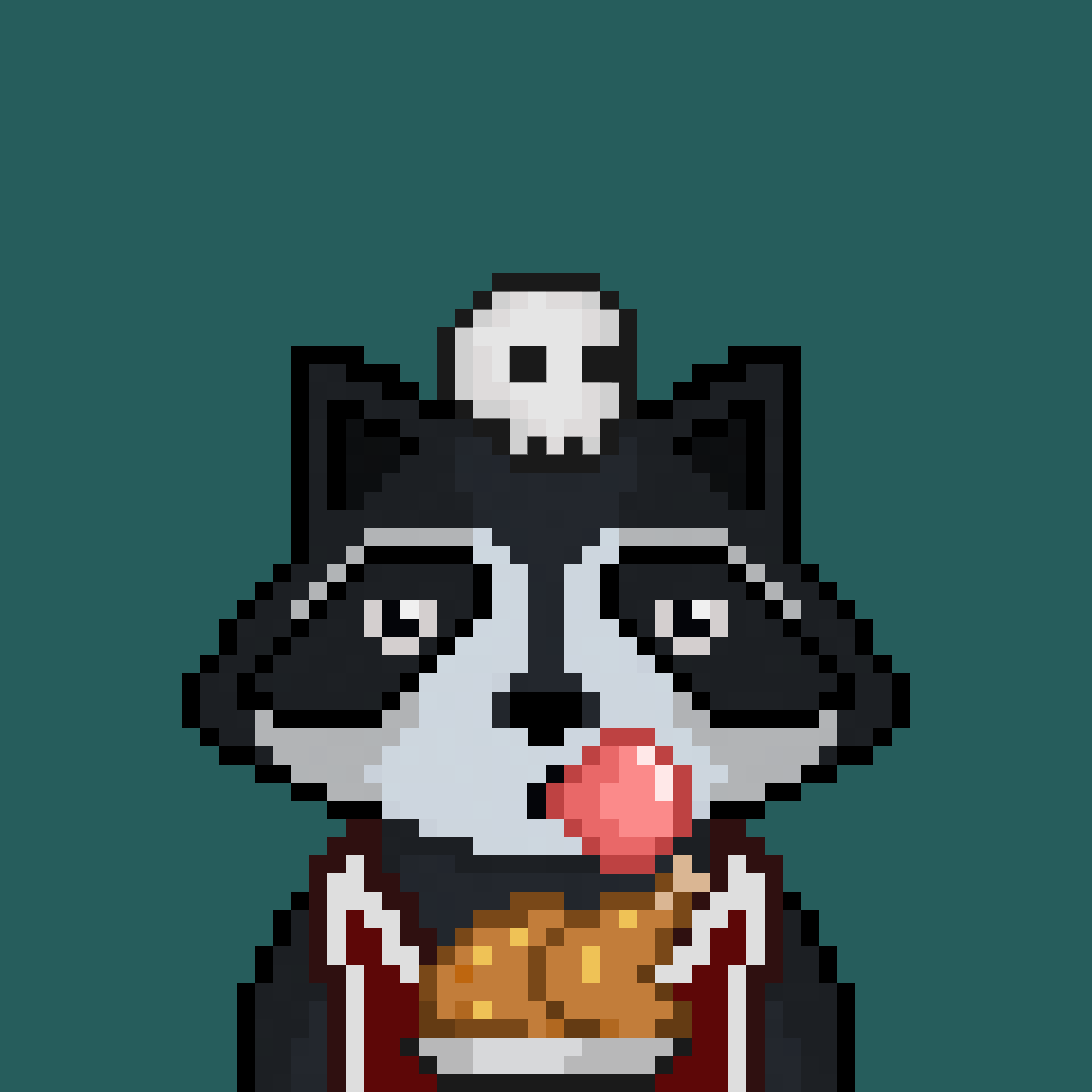 Pixel Raccoon #623 NFT on Algorand