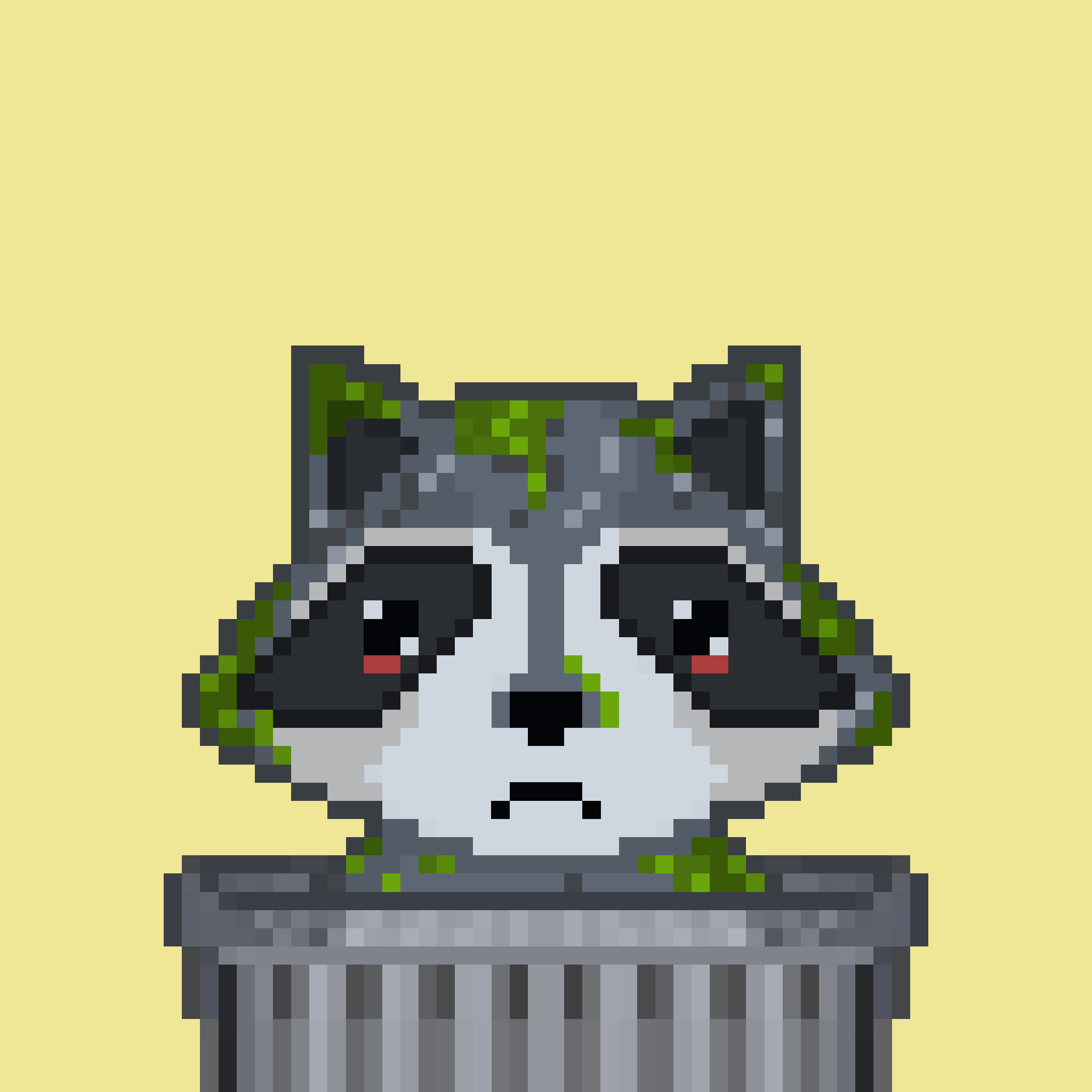 Pixel Raccoon #64 NFT on Algorand