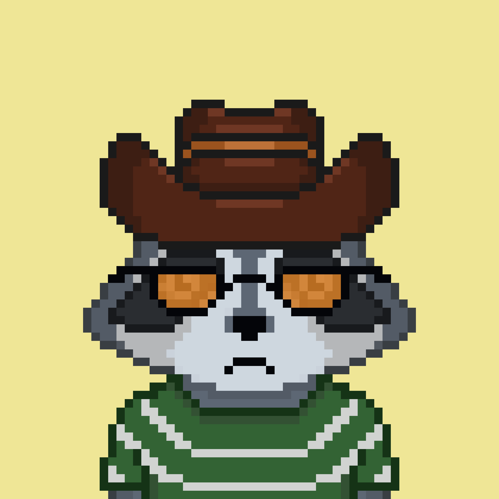 Pixel Raccoon #649 NFT on Algorand