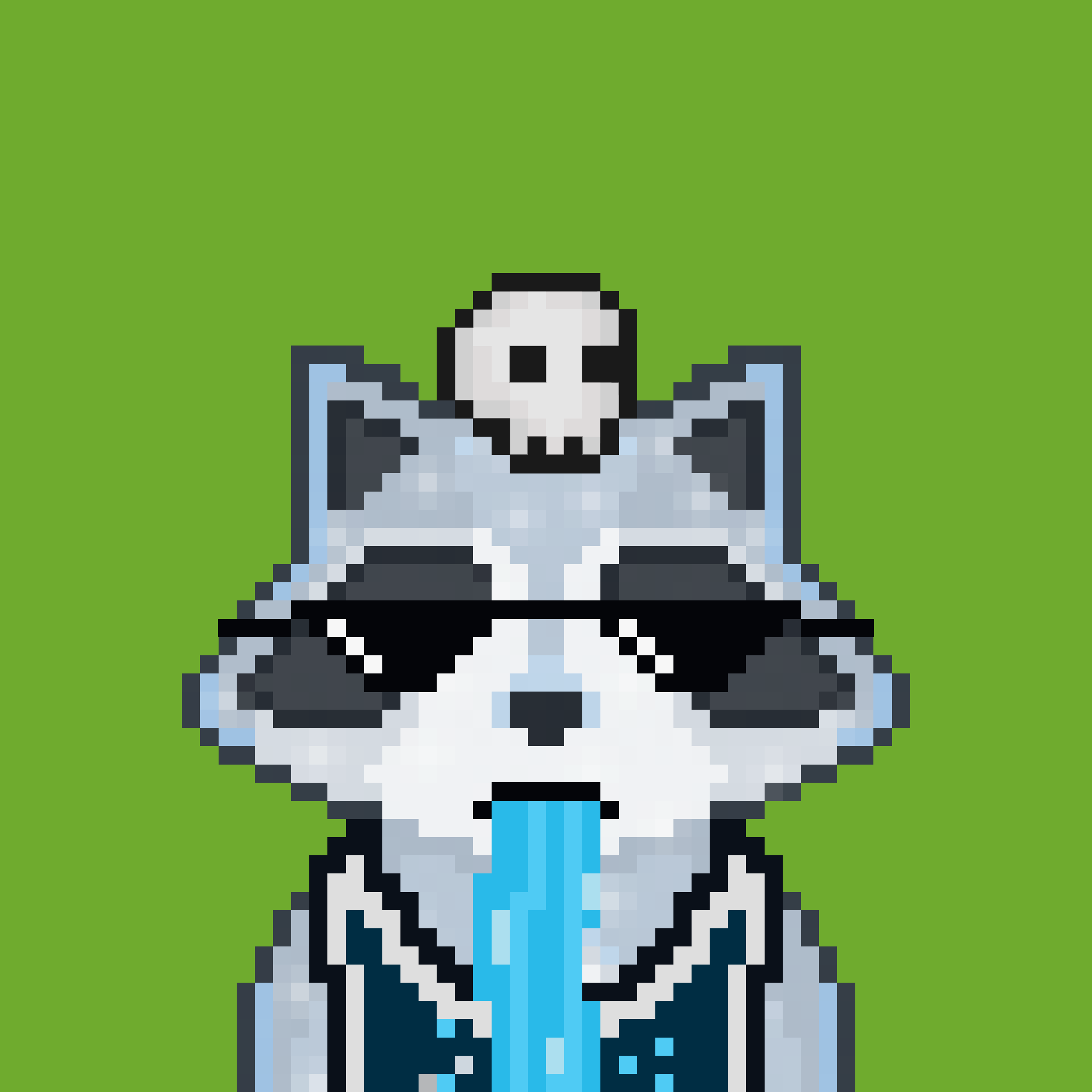 Pixel Raccoon #65 NFT on Algorand