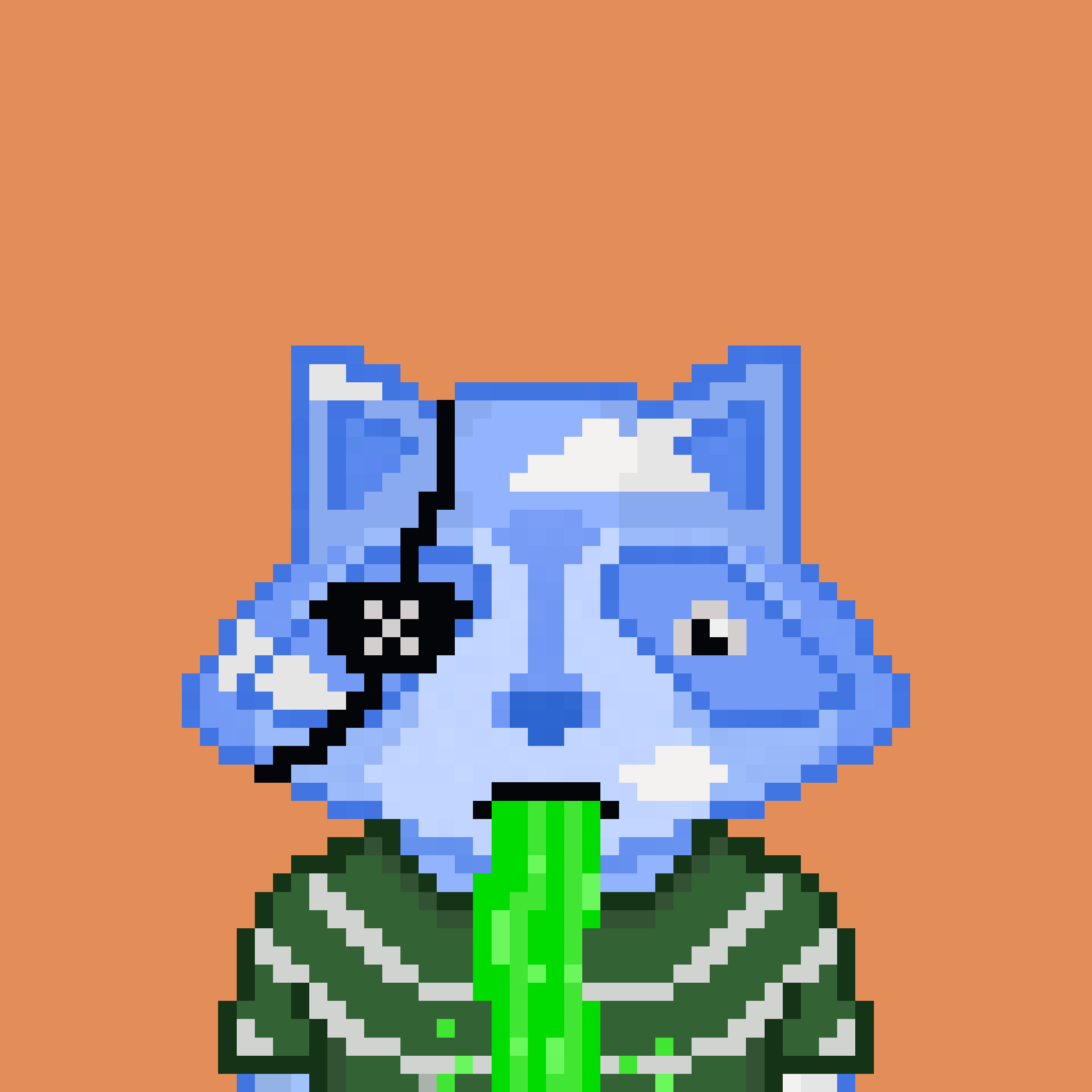 Pixel Raccoon #66 NFT on Algorand