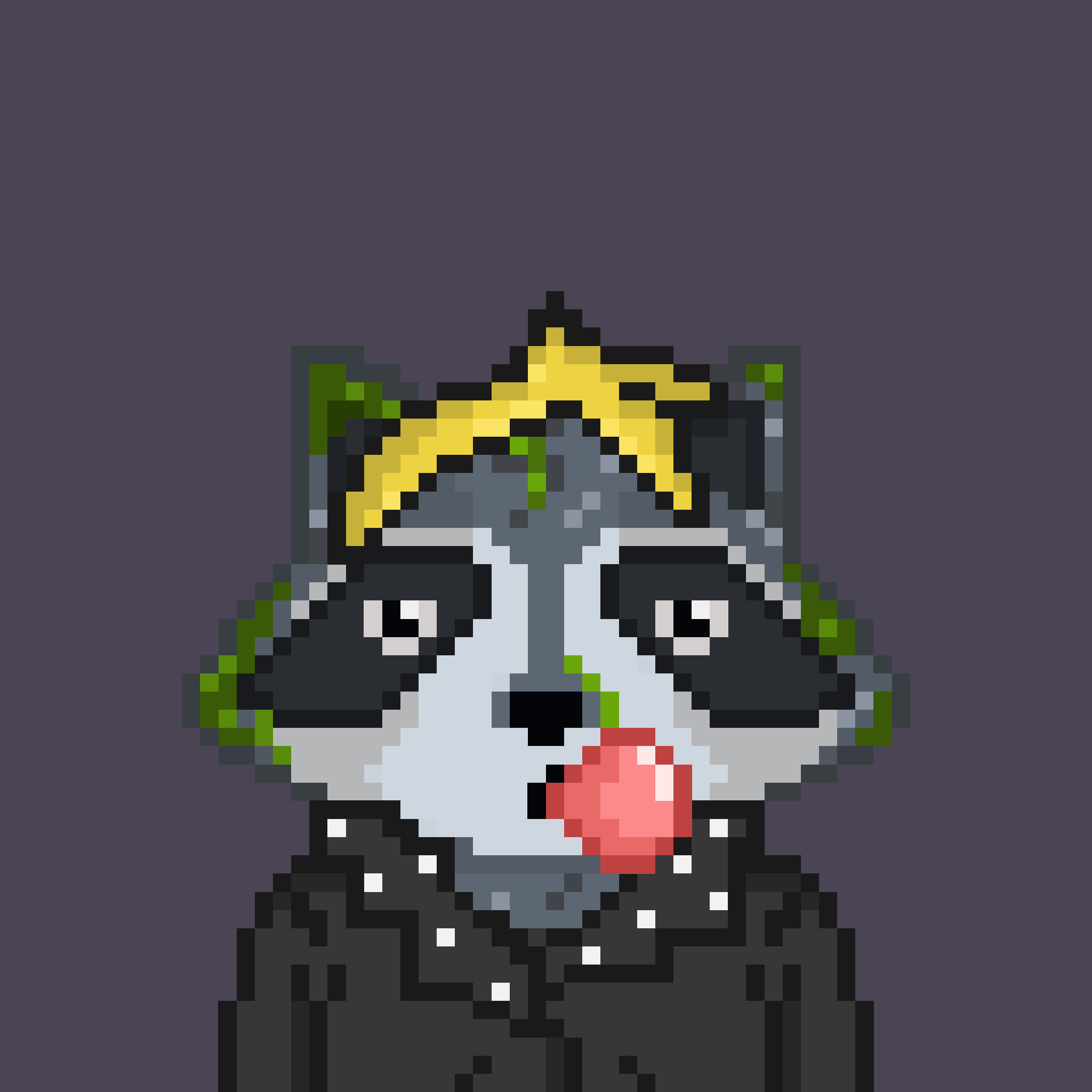 Pixel Raccoon #68 NFT on Algorand